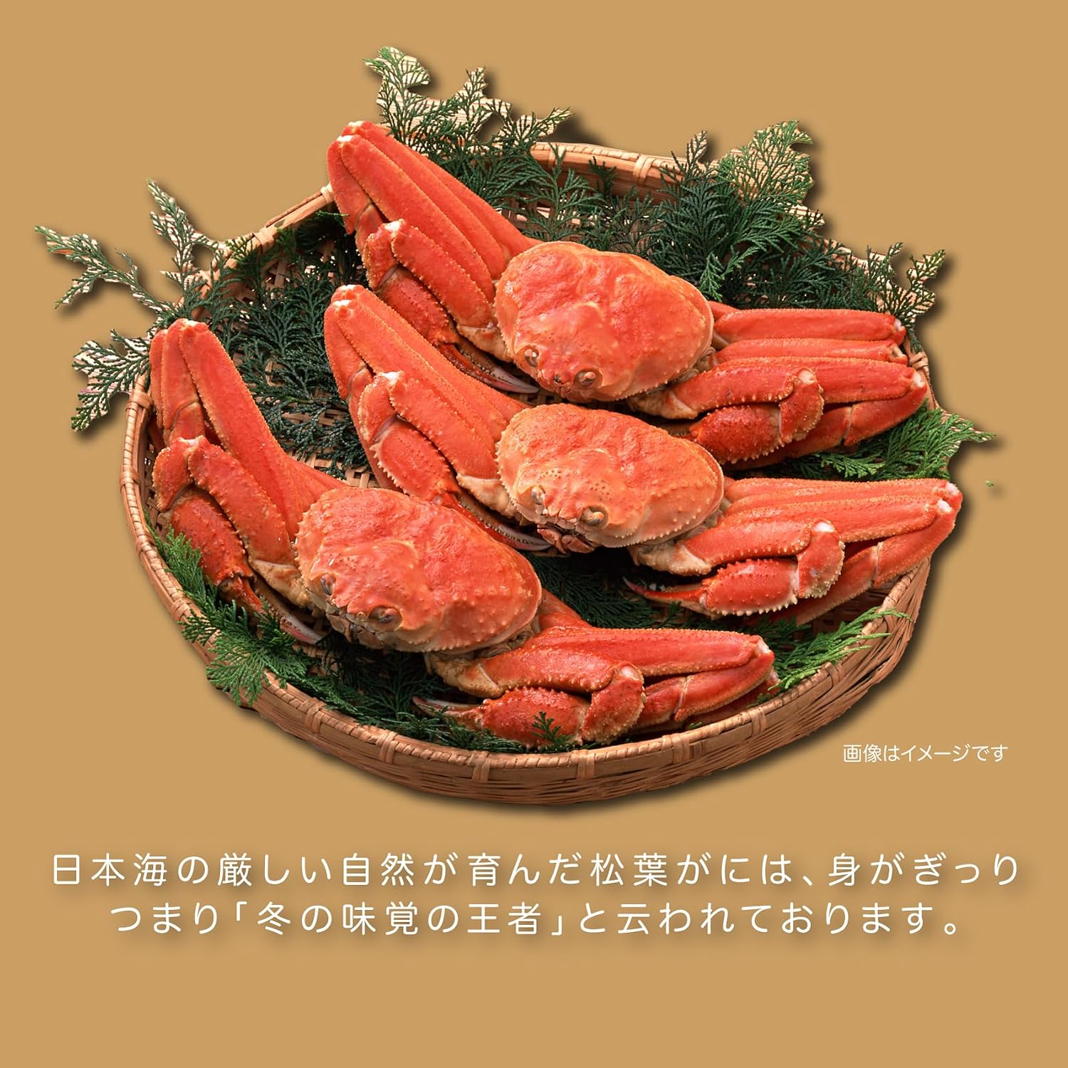 Totori Souvenir, Matsuha Ganasenbei, Japanese Confectionery, Sanin, Bird Tori, Shimane, Souvenir, Gift, Present (16 Pieces)