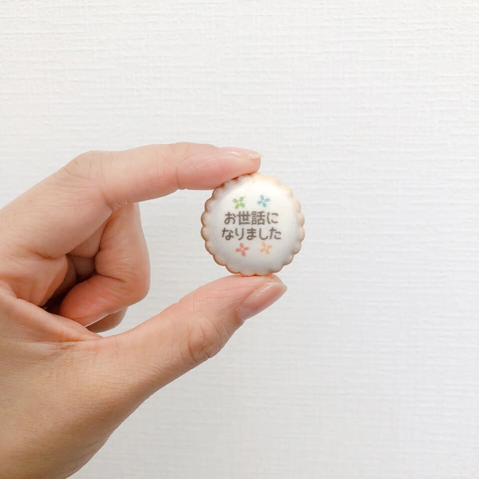SSR Limited, Large Bag, Message, Icing Biscuits, 7.4 oz (210 g) (Approx. 60 pcs), Individual Packaging, Petite Gift, Biscuit, Icing Cookie, Present, Gift, Graduation, Graduation Ceremony, Greetings