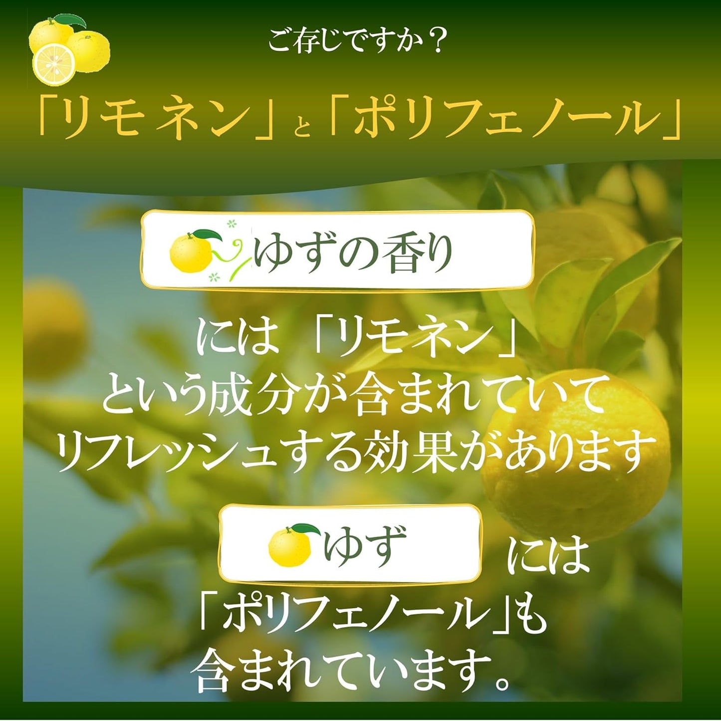 Mitsukan Commercial Use Kaori no Kura Marushibo Yuzu 33.8 fl oz (1 L) Ponzu