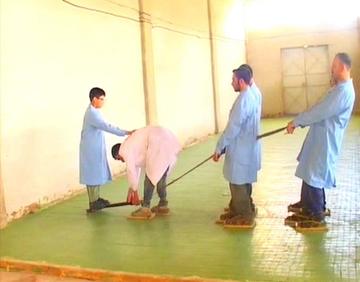 Olive and Laurel Soap, Normal, 22 Pieces (Gift from Aleppo Soap Artisans)