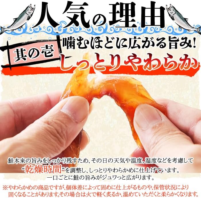 Tennensei Salmon Jerky (170g) Food Snack Delicacy Hokkaido-Produced Domestic Autumn Salmon Sake Toba