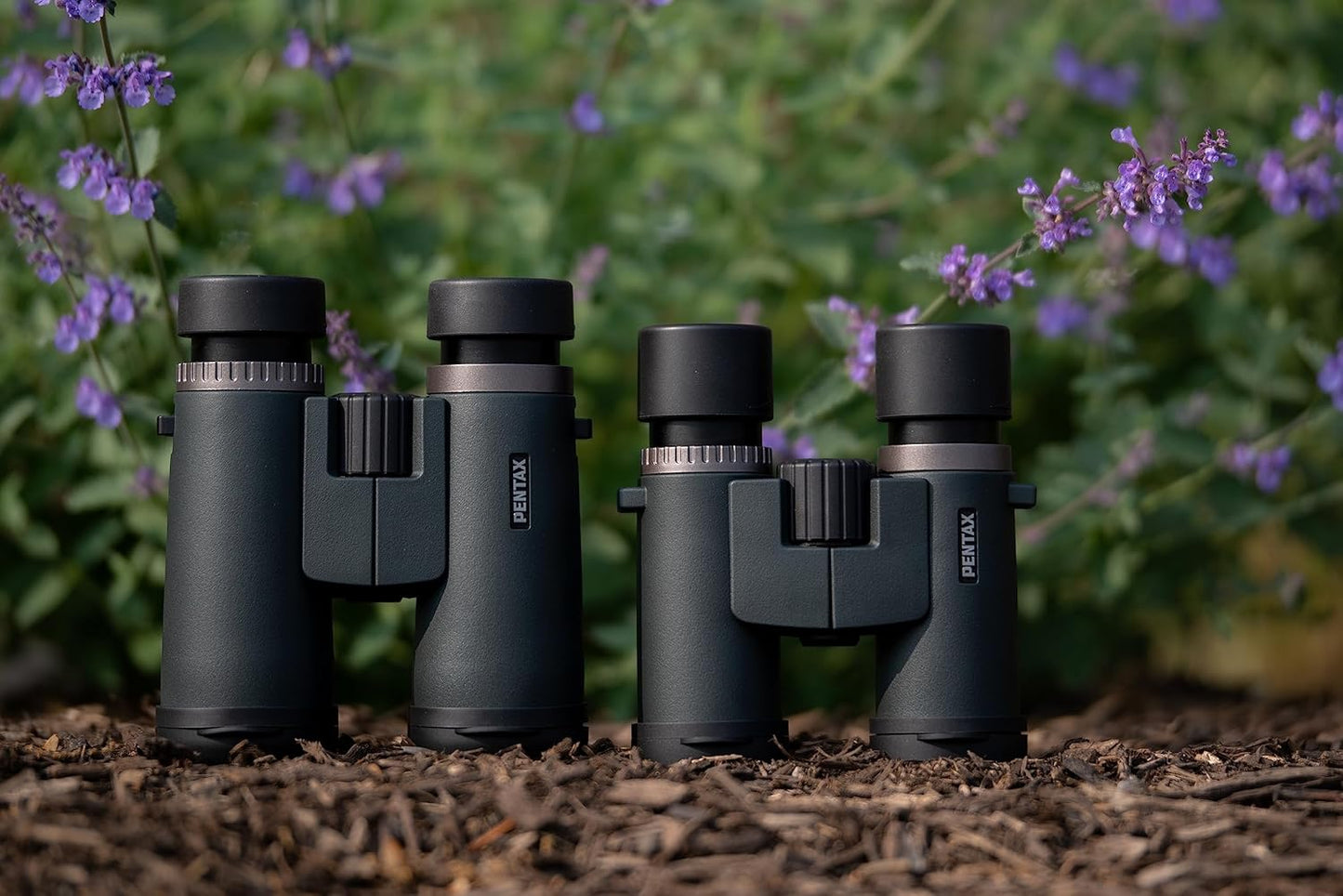 PENTAX SD 10x42 ED Binoculars for Nature Viewing Fully Multi-Coated Waterproof Construction
