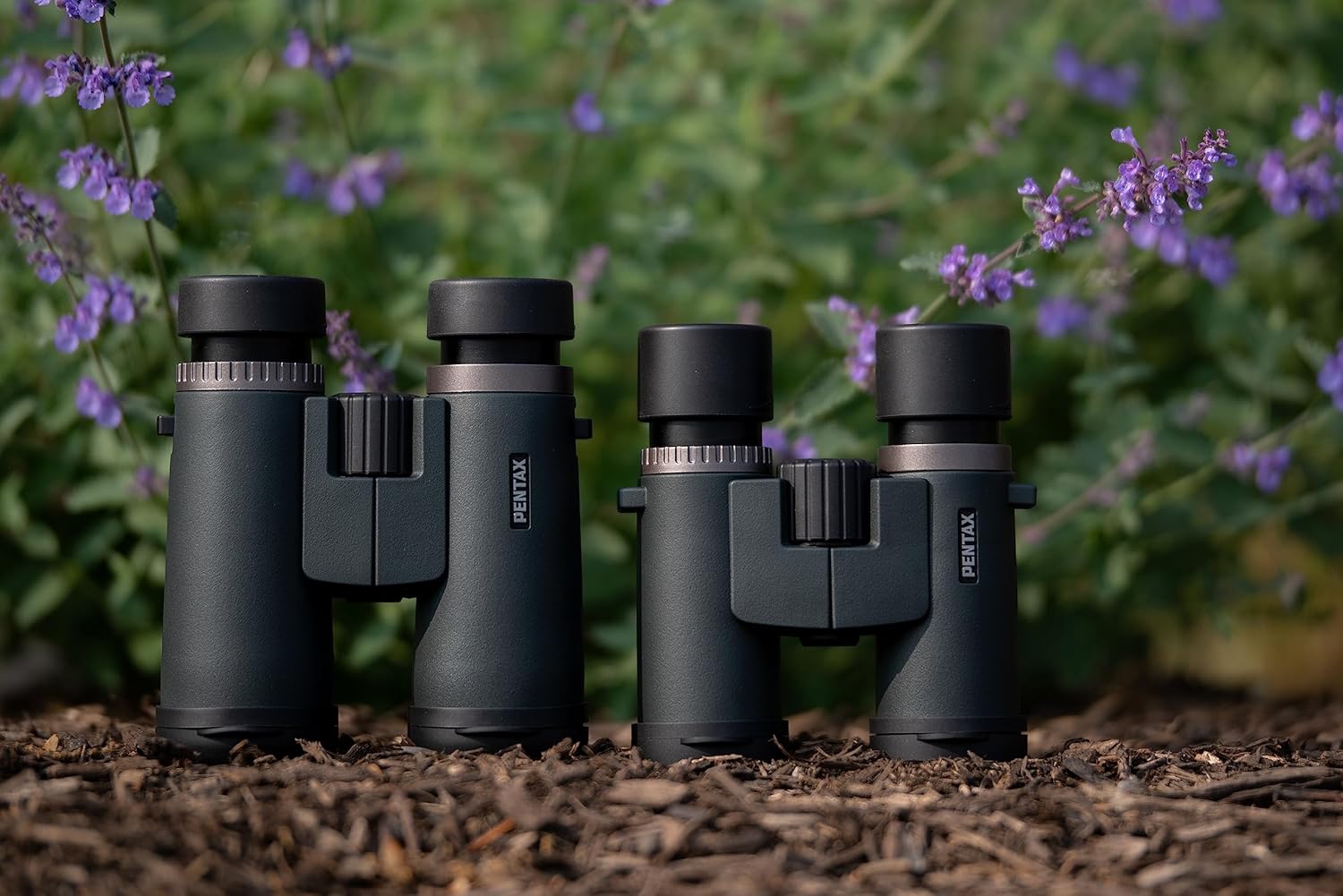 PENTAX SD 10x42 ED Binoculars for Nature Viewing Fully Multi-Coated Waterproof Construction