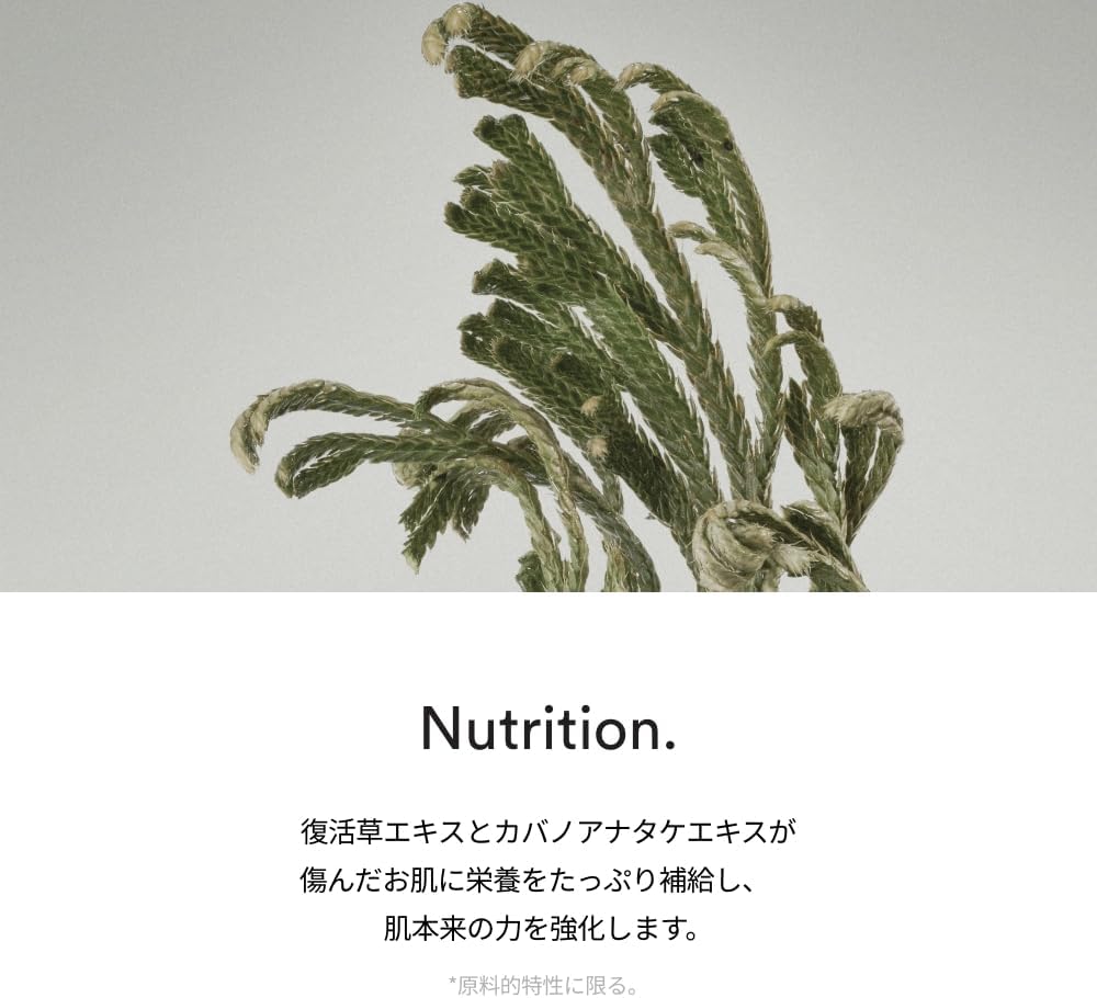 Abib Resurrection Grass Cream, Nutrition Tube, 2.5 fl oz (75 ml), Korean Cosmetics, Moisturizing Cream, Sensitive Skin, Moisturizing, Highly Moisturizing, Nutrition, Regenerative