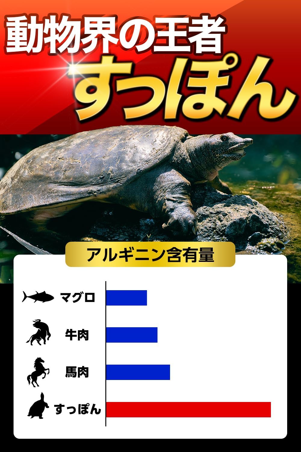 【Recommended by an Expert Appearing on NHK】Juou BEAST Krachai Dum, Tongkat Ali, Suppon, Arginine, Citrulline, Zinc, Carefully Selected Ingredients, 15-Day Supply, Made in Japan (1 Bag)