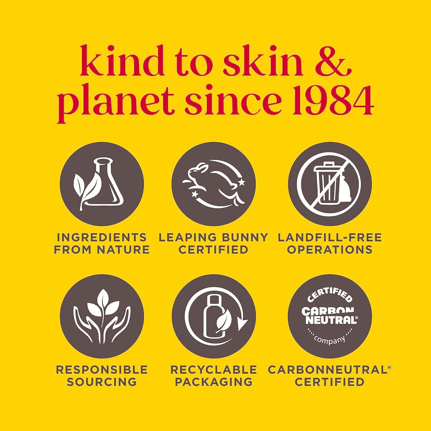 Burt's Bees Bálsamo labial de cera de abejas, hidratante labial con cera de abejas de origen responsable, sin tinte, tratamiento labial acondicionador natural, 1 tubo, 0.15 onzas.
