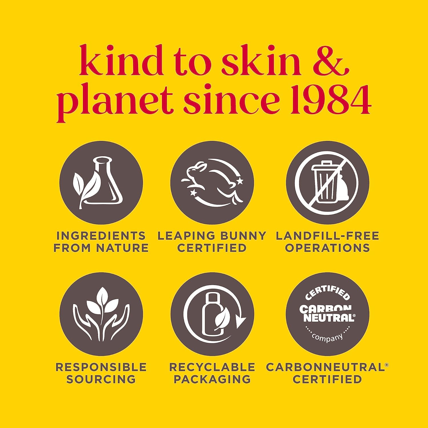 Burt's Bees Bálsamo labial de cera de abejas, hidratante labial con cera de abejas de origen responsable, sin tinte, tratamiento labial acondicionador natural, 1 tubo, 0.15 onzas.