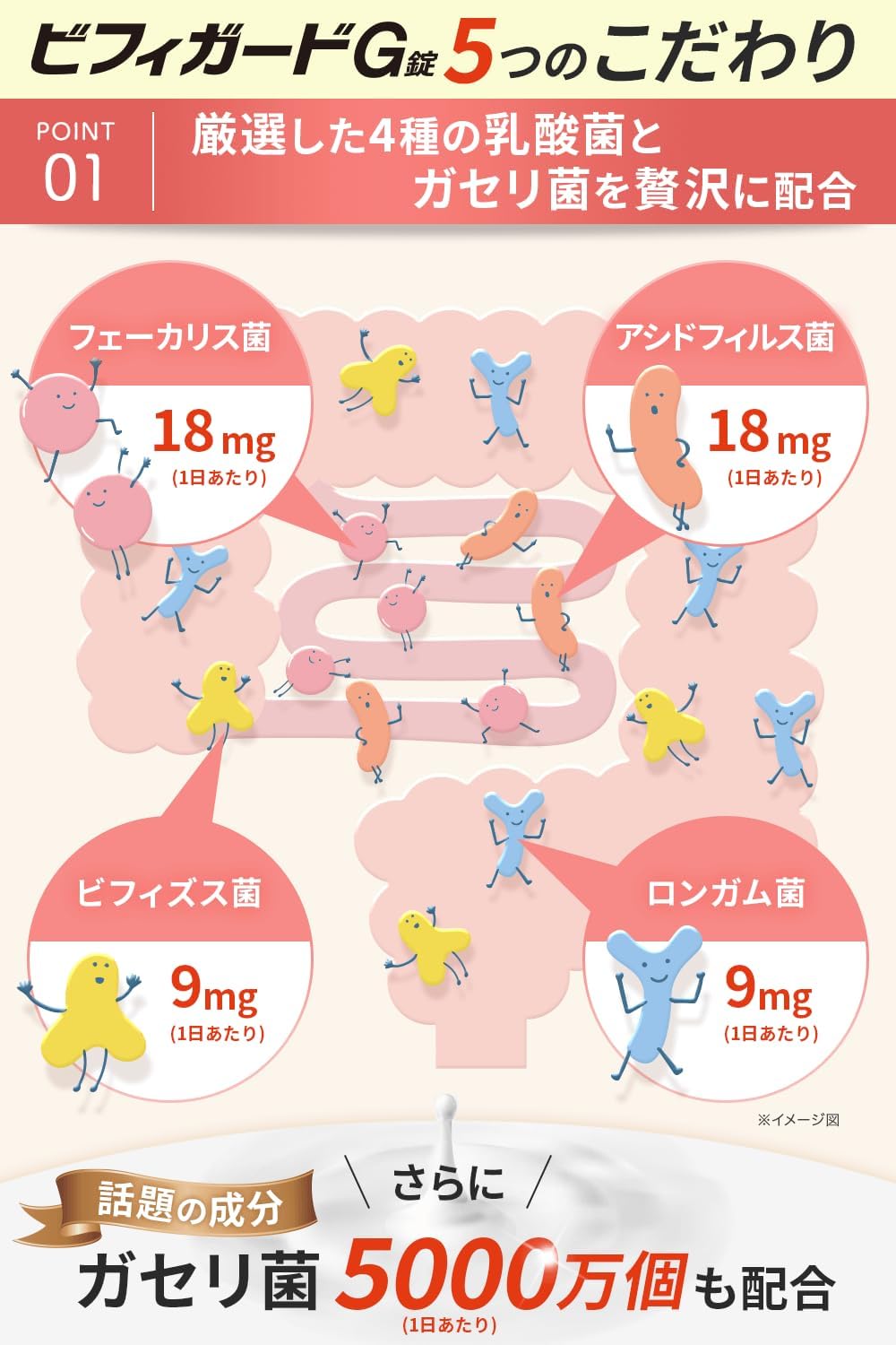 5 Types of Lactic Acid Bacteria and Butyric Acid Bacteria, Bifidobacteria 92.7 Billion Units Included, Bifiguard G Tablets/Intestinal Activity, Gasseri, Longum, Faecalis, Acidophilus, Human-derived