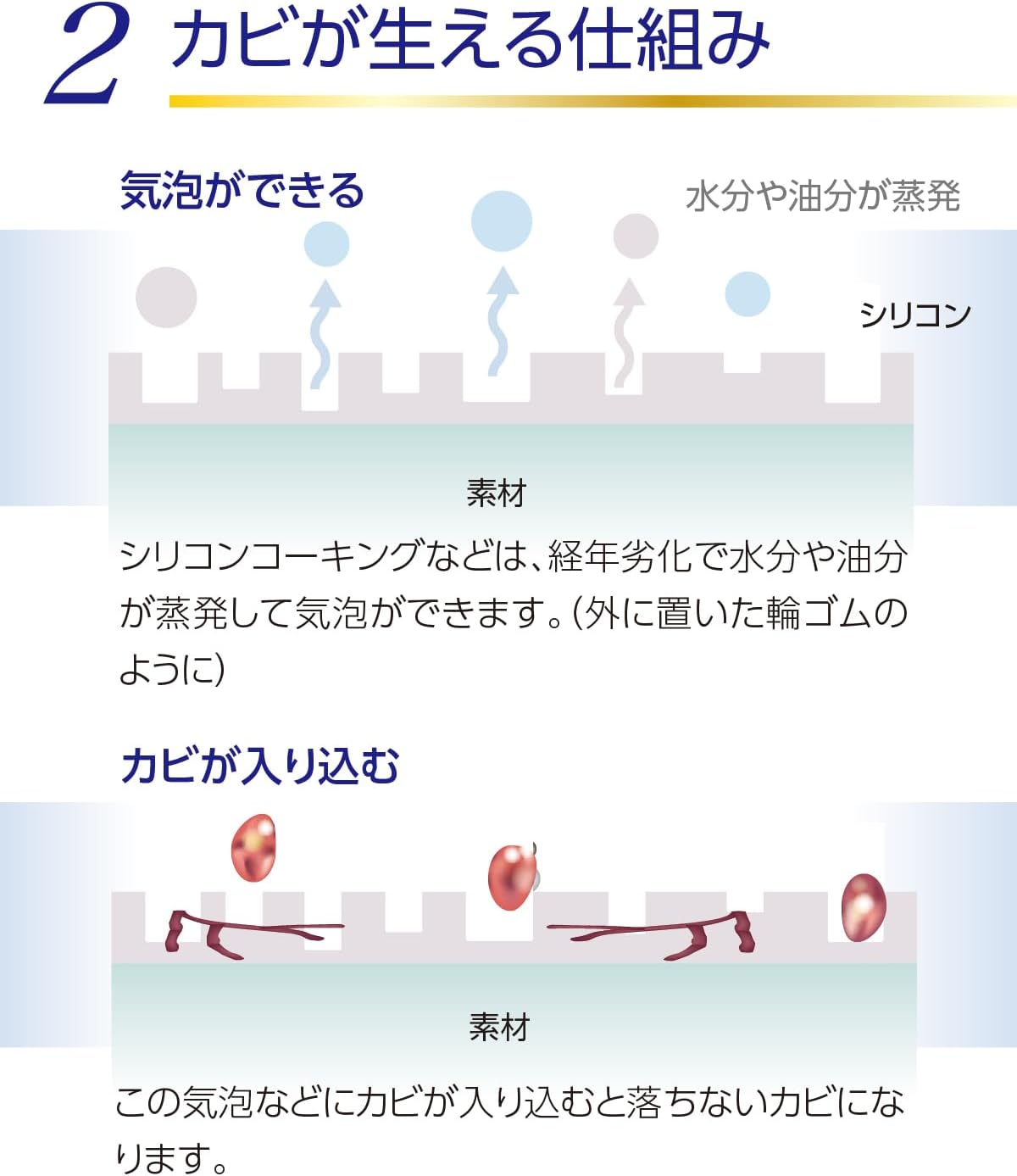 Kishishimashii Series Grout Joints, Rubber Gasket Prevents Mold! Mildew Resistant Craftsmen 1.7 fl oz (50 ml)