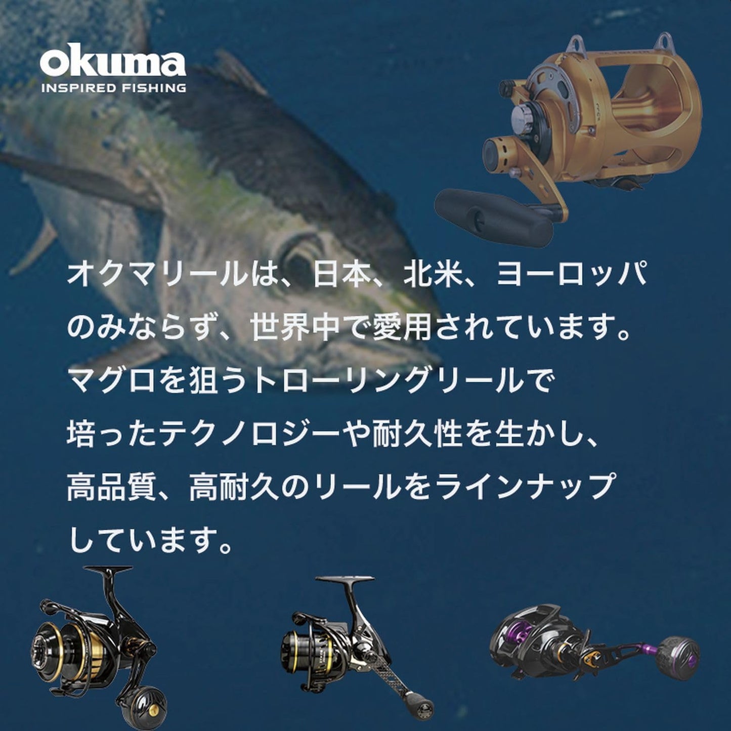 Zenith Okuma ARIA B (New2023) General Purpose Spinning Reel with Thread, Boxed Type