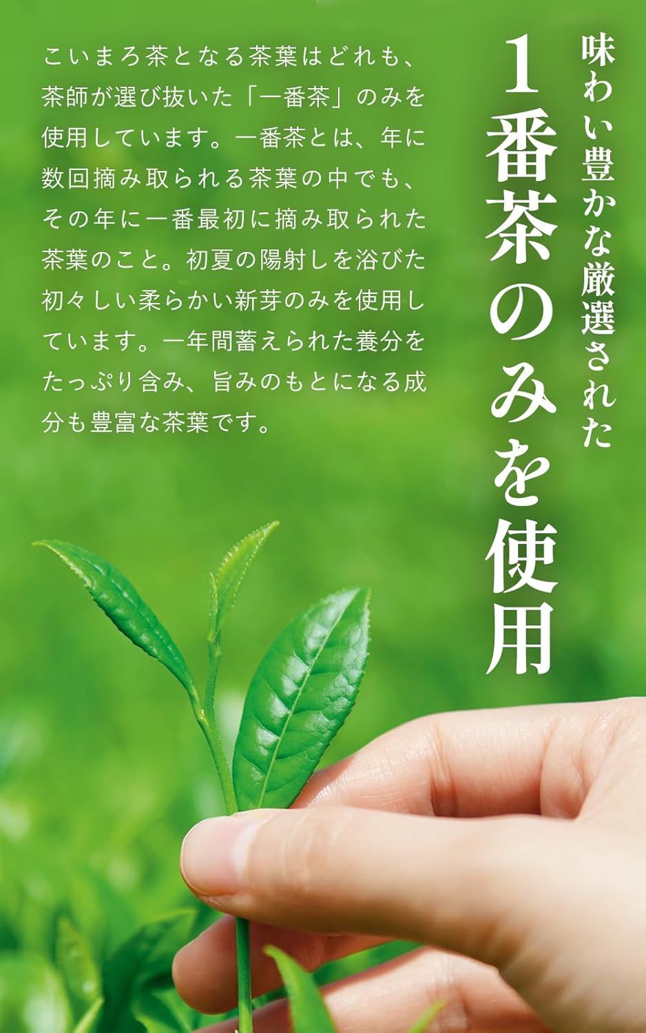 【Mondo Selection Award Winner】Kyoto・Ujitawara Tea Plantation Koimaro Tea 100g Japanese Tea Gyokuro Deep Steamed Sencha Waka Steamed Sencha Blend Tea Leaves Tea Green Tea Japanese Tea Deep Steamed Tea