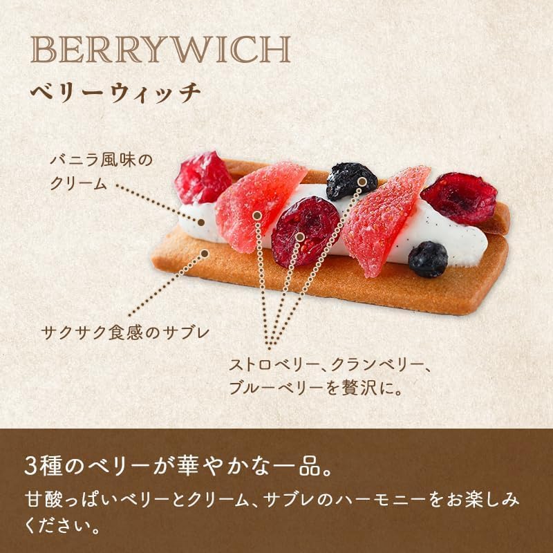 Sea Cube Cookies Gift, Chocolate, Bakery Sweets Gift, Large Capacity, Souvenir/Respect for the Aged Day, Inner Celebration, Incense Return, Retirement, Thank You/Happy Sweet Box (M)