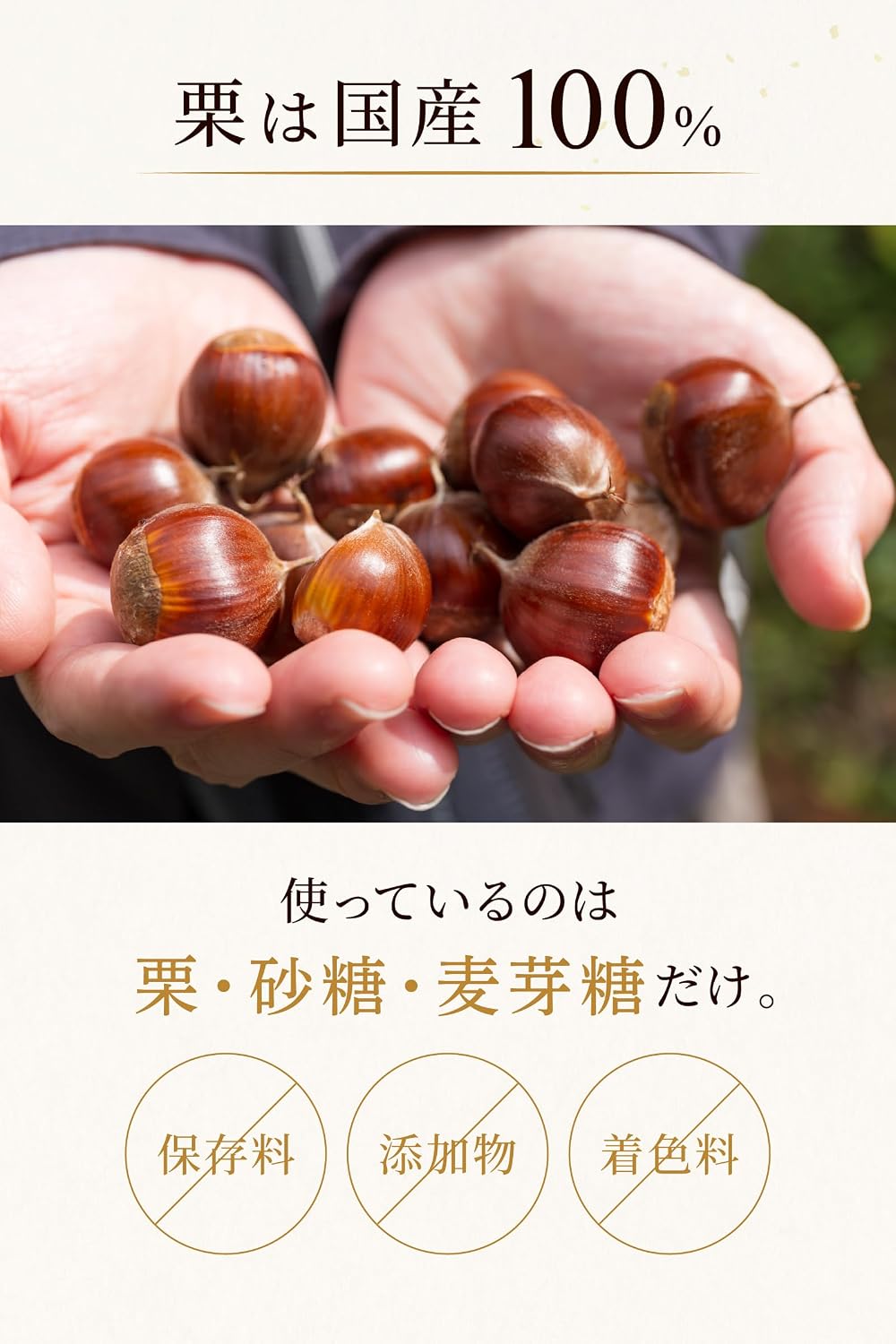 (As Seen on TV) Gifu Ena Kiyotsudo, Chestnuts, Sweets, Japanese Confectionery Gift, Souvenir, Gift (6 Pieces) <4933950301018>
