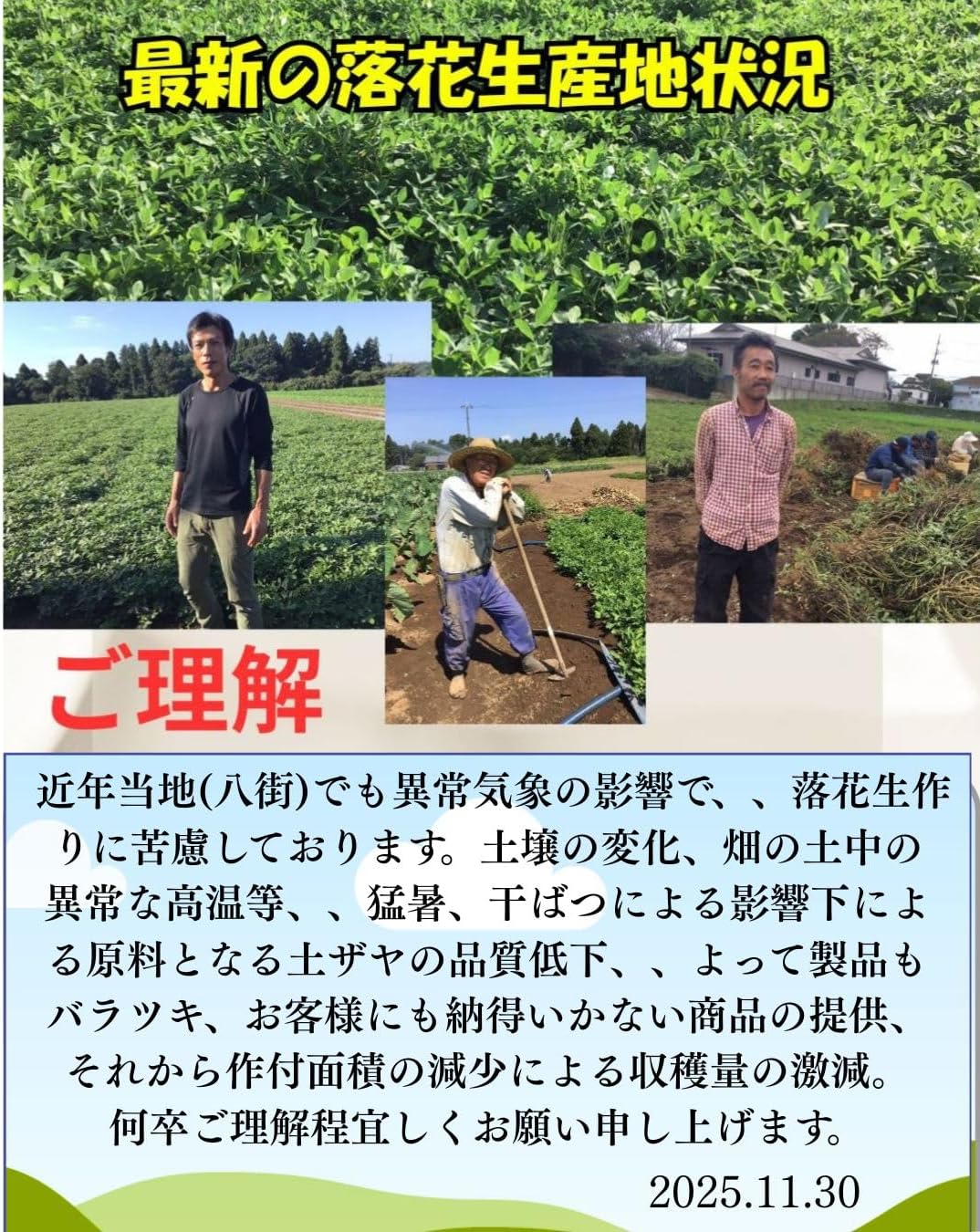 2025 Harvest "New Beans" [Raw Roasted Chiba Handachi 400g] Natural Taste, Born in Yachimata, Chiba Prefecture Yachimata-grown Peanuts, Domestic Product