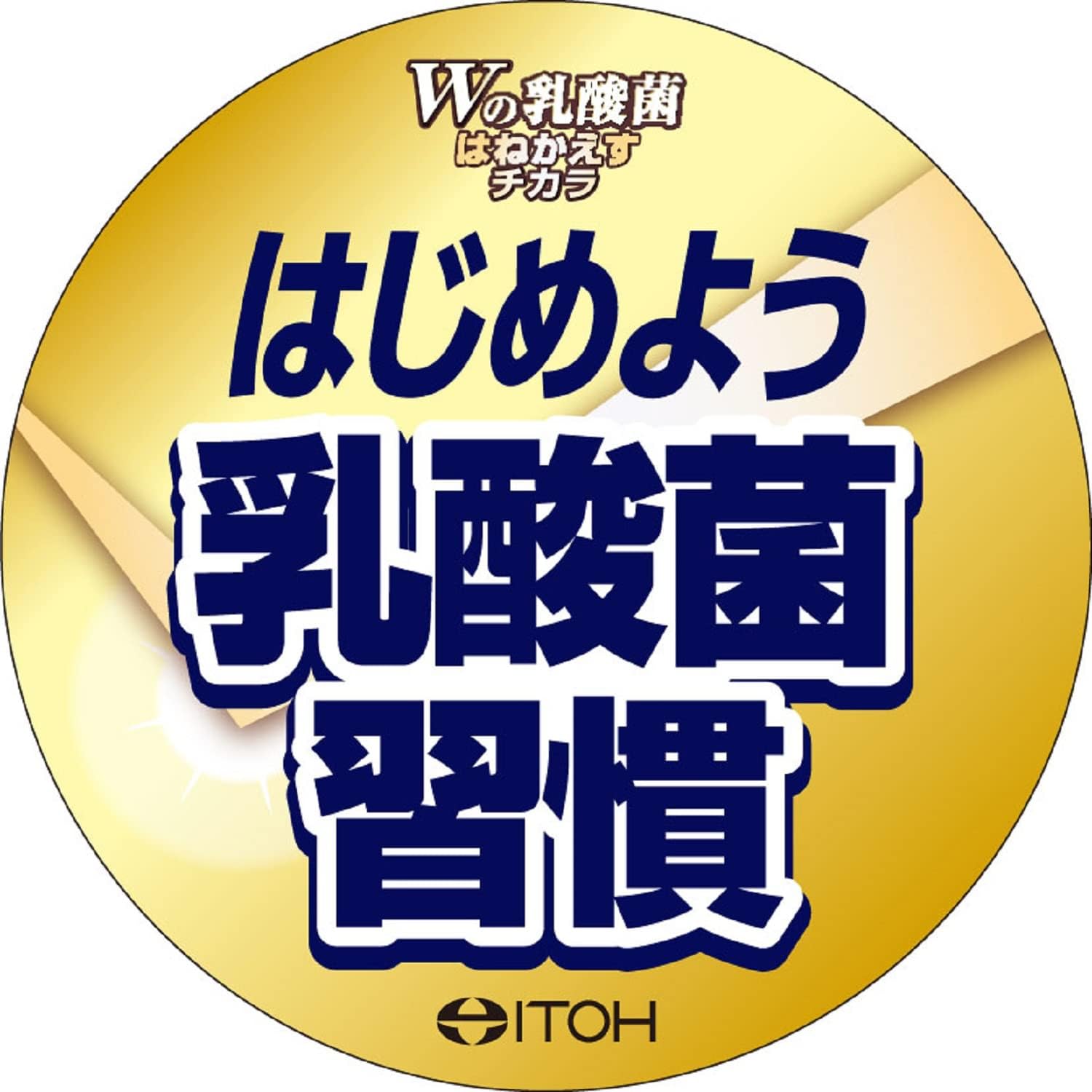 Ito Kanpo Pharmaceutical W Lactobacillus Splashing Power 20 Bags Supplement Lactic Acid Bacteria EC-12 Health Supplement