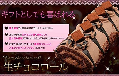 Raw Chocolate Roll Cake 6.7 inches (17 cm) Thick Chocolate Roll Cake Ganache Chocolate Birthday Valentine's Day Gift Frozen