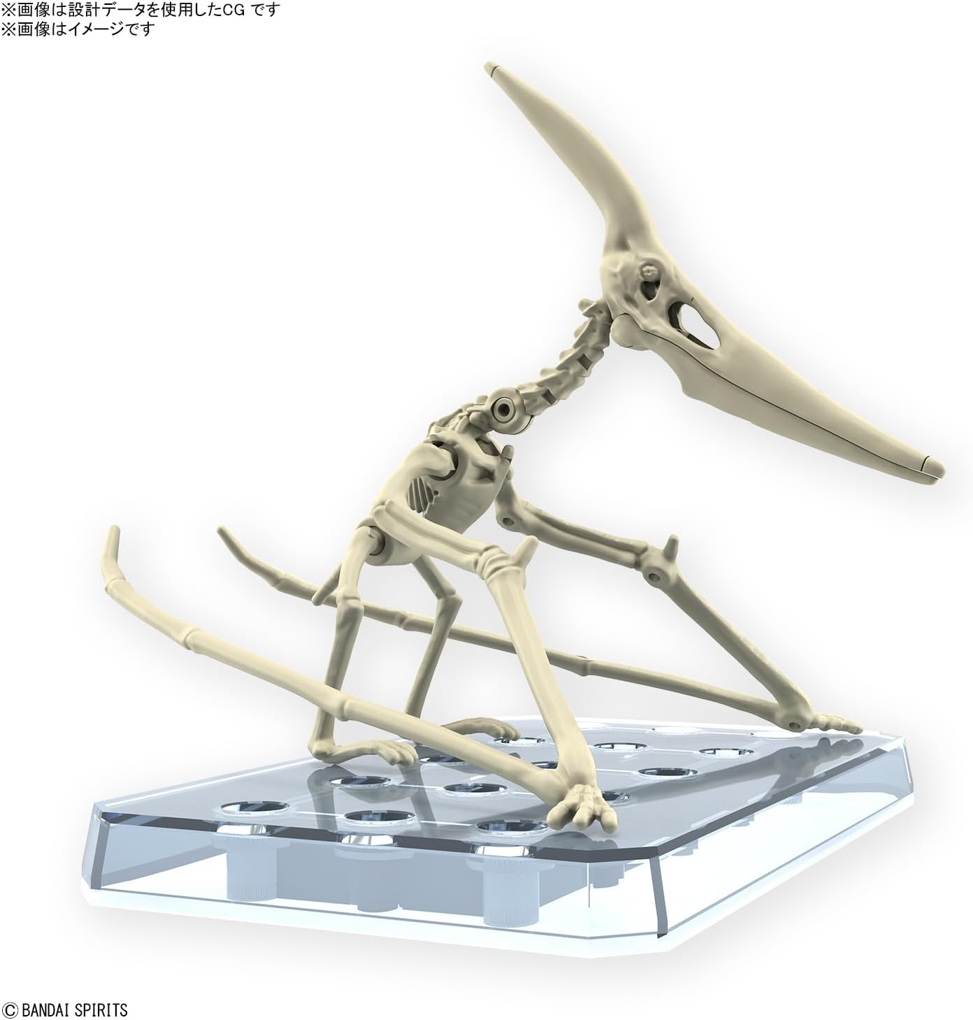 Bandai Spirits Planosaurus Pteranodon Color Coded Plastic Model