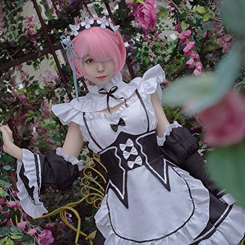 ENDIANDUO Re:Zero−Starting Life in Another World Rem/Ram Cosplay Costume, Super Cute Anime Maid Outfit, Halloween Costume (M)