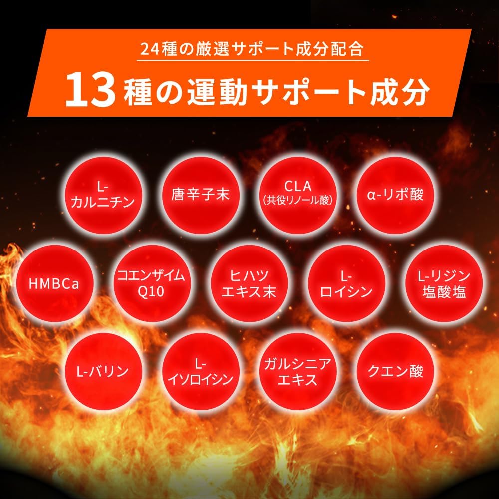 Zapro Carnitine L-Carnitine 22,500mg CLA HMB BCAA Coenzyme Q10 Garcinia Alpha Lipoic Acid Multivitamin Supplement Tablets Takeuchi Pharmaceutical THE PROTEIN