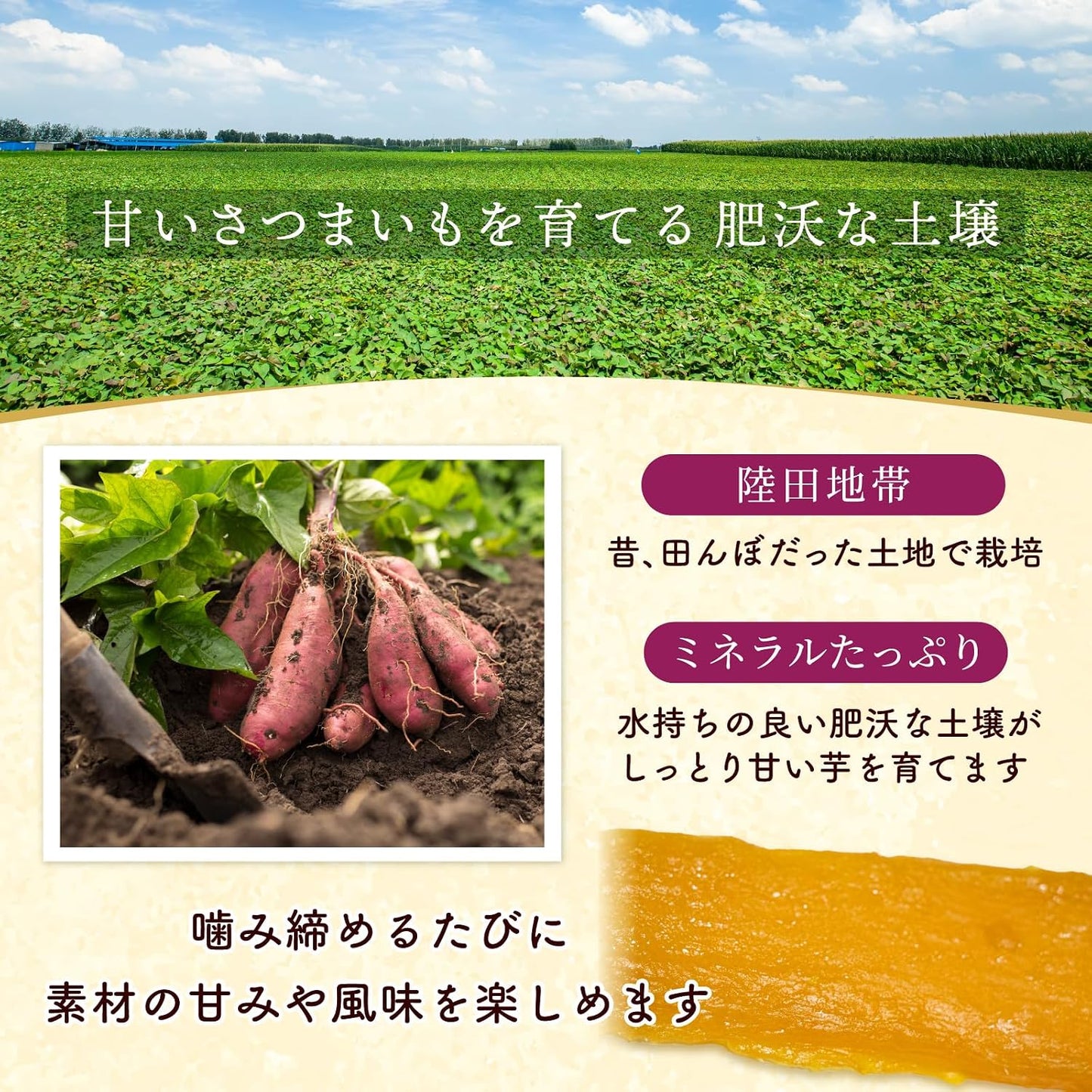 Yuwushen Premium Dried Potatoes 3.5 oz (14 °C) or Higher in Sugar Content 3.5 oz (100 g), Made in Ibaraki Prefecture, Akiharuka, Made in Japan, Additive-free, Moist and Neat, Elegant Sweetness