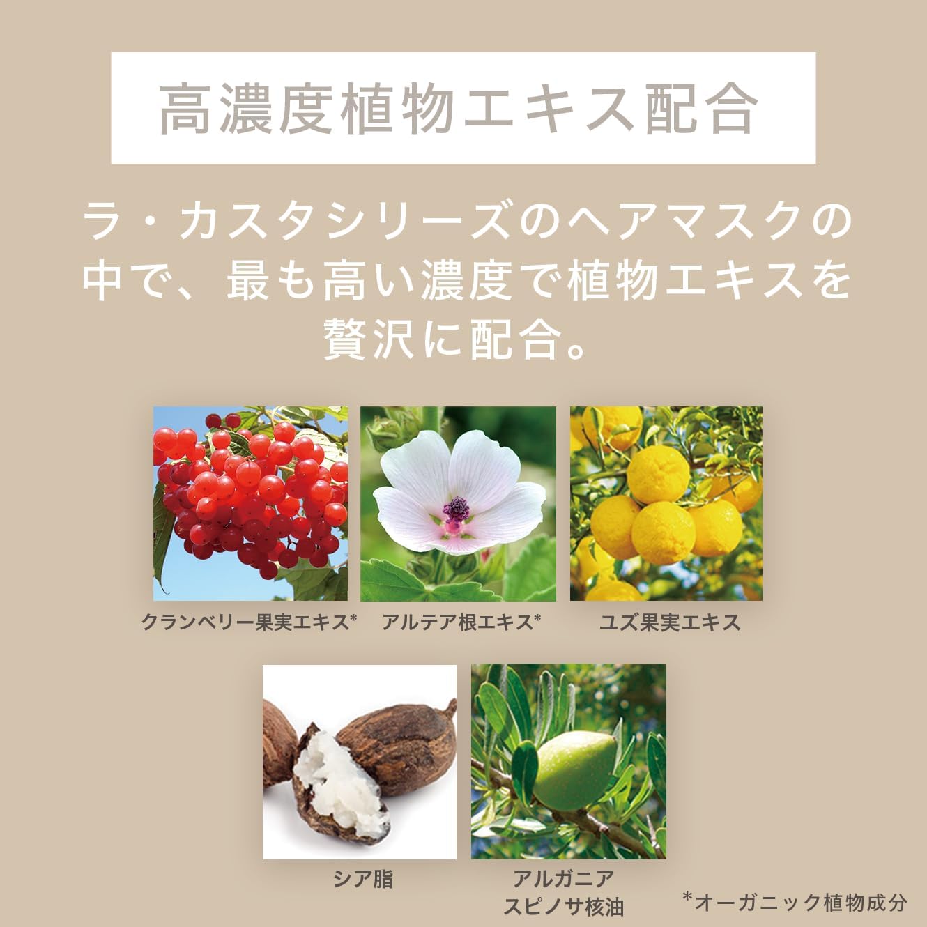 La Casta | Intensive Treatment, 5.3 oz (150 g), Enrich Glow Deep Mask, Hair Damage Care, Made in Japan