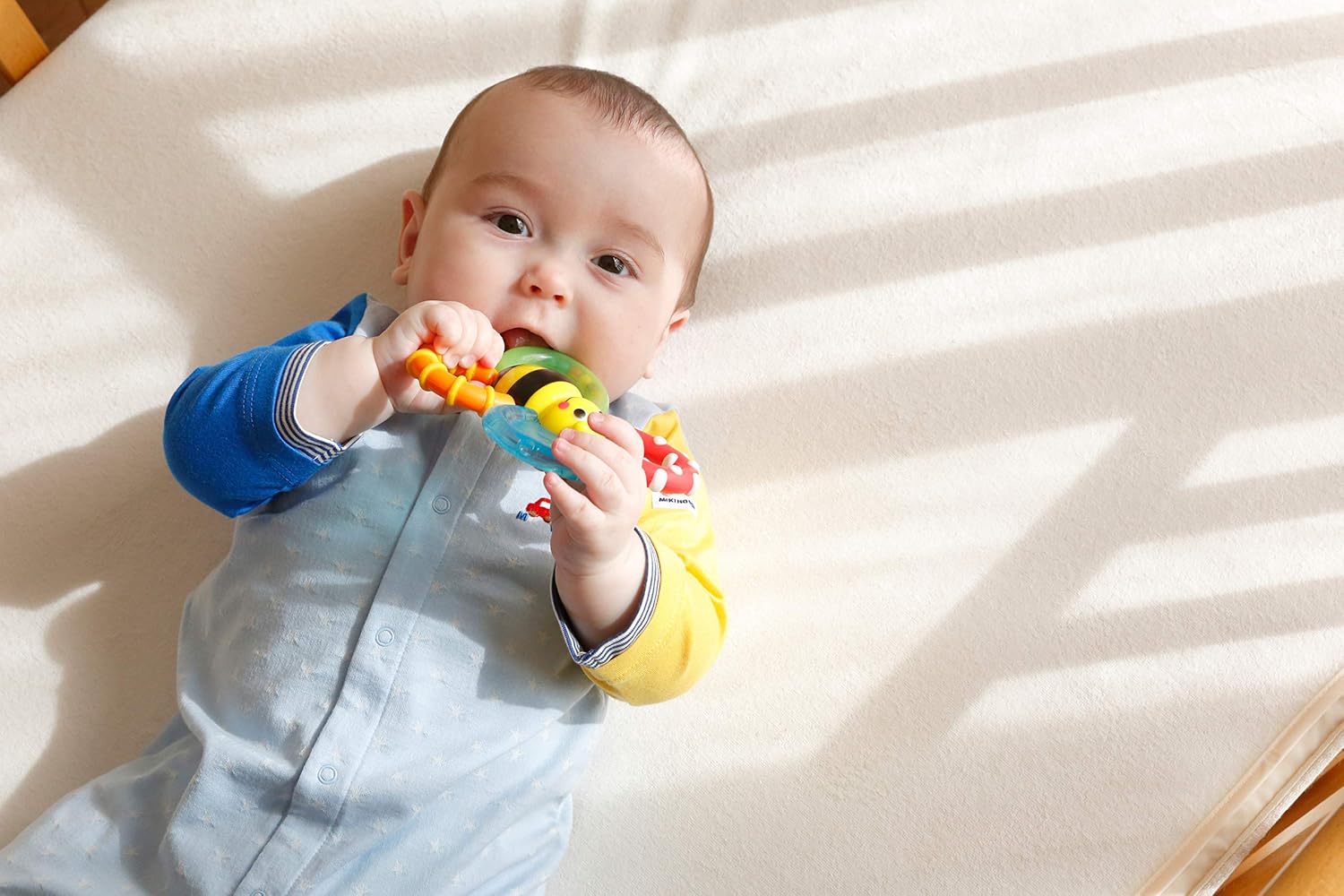 SASSY TYSA80679 ABS Teething Rattle, For 3 Months and Up, Cool, Various Feeling, Bumble Bites Fan