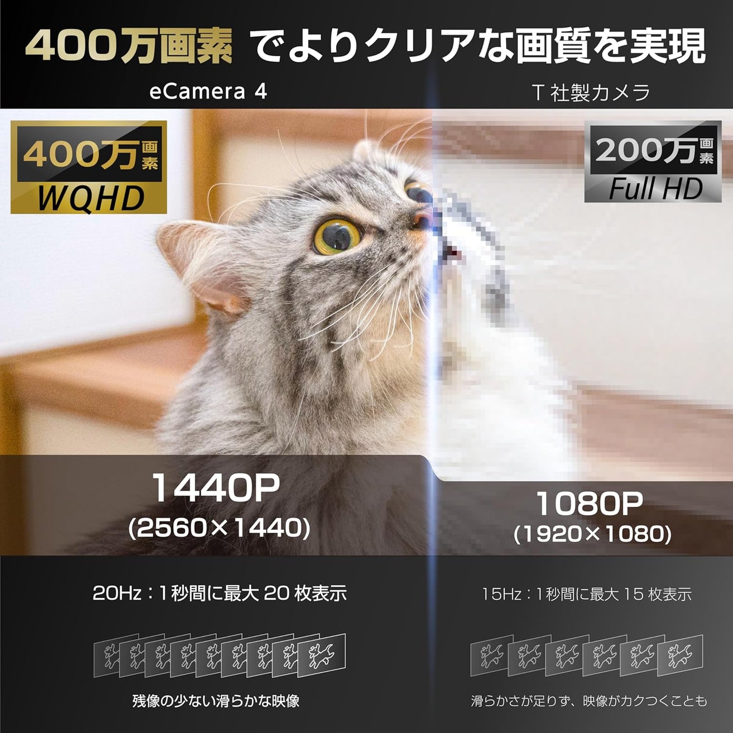 Link Japan Security Pet Camera 1080p Two-Way Voice Conversation Remote Confirmation Monitoring Camera Recording Function Baby Monitor Indoor Night Shooting iPhone/Android Smartphone Compatible Mobile