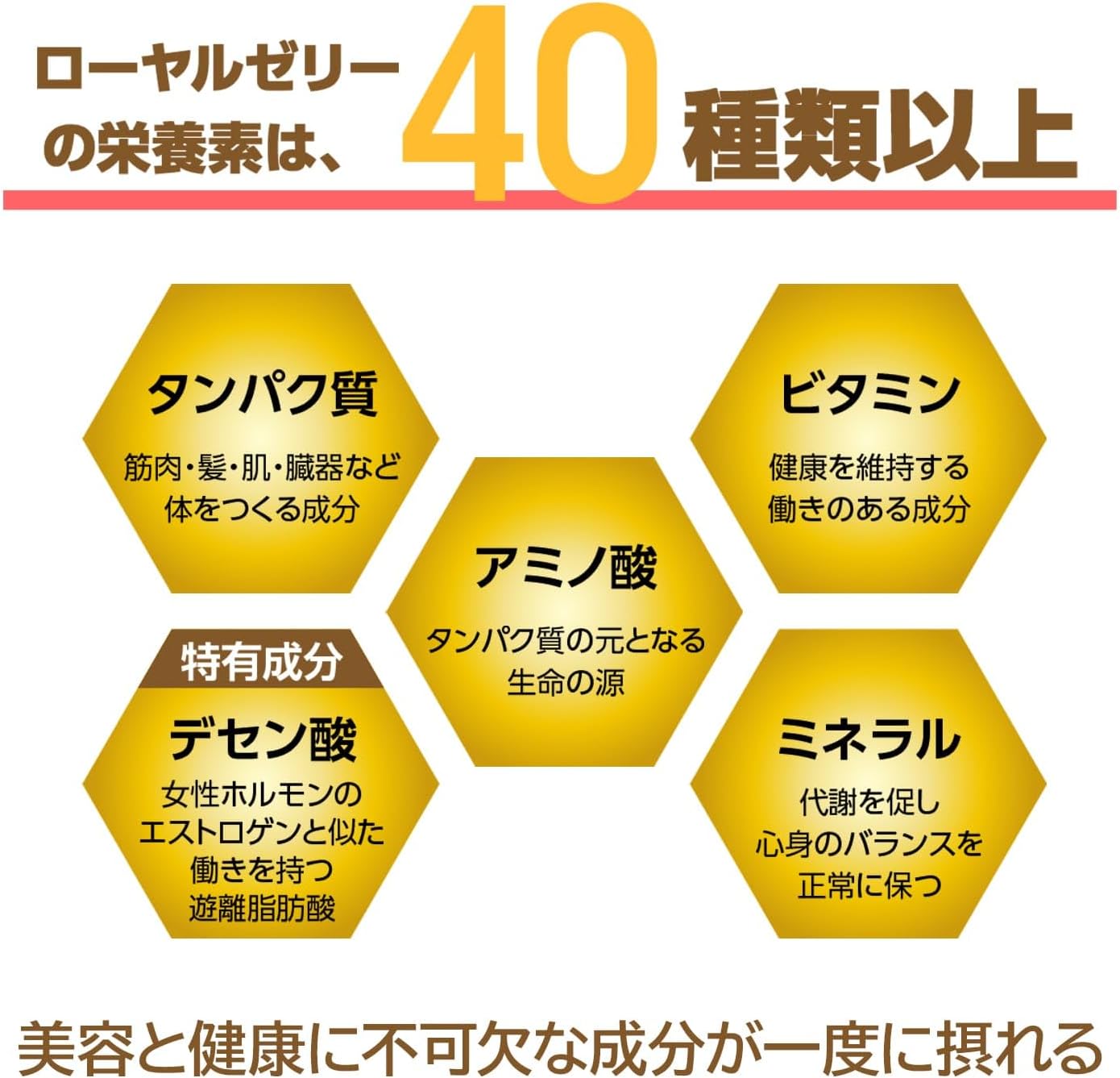 Bibi Health Care Royal Jelly 48 Quality, 60 Tablets (1 Month Supply), Completely Additive-Free + 100% Preservatives, Fragrance, Coloring, Stabilizers, Made in Japan, (Trial 14 Tablets (1 Week Worth))