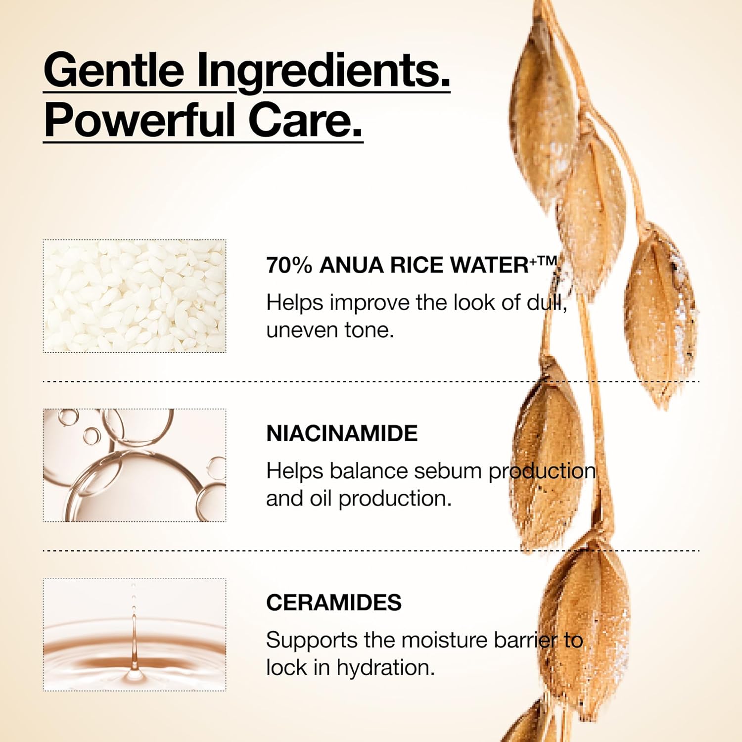 ANUA Rice 70 Glow Milky Toner, para piel de vidrio, agua de arroz, niacinamida, ceramidas, pantenol, sin fragancia, no comedogénico, seguro para el acné fúngico, cuidado de la piel coreano, 250ml