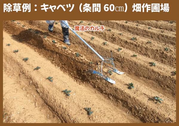 Kyuho Magic Culture with Handle, Weeding Countermeasure, Weeding Machine, Weeding Equipment, Agricultural Equipment, Weed Countermeasure, For Home Use, Manual Use, Small, Hokkaido, Kyuho, QHo, Ashuragari, Magic Culture Reiki (Normal P046-AWNEA)