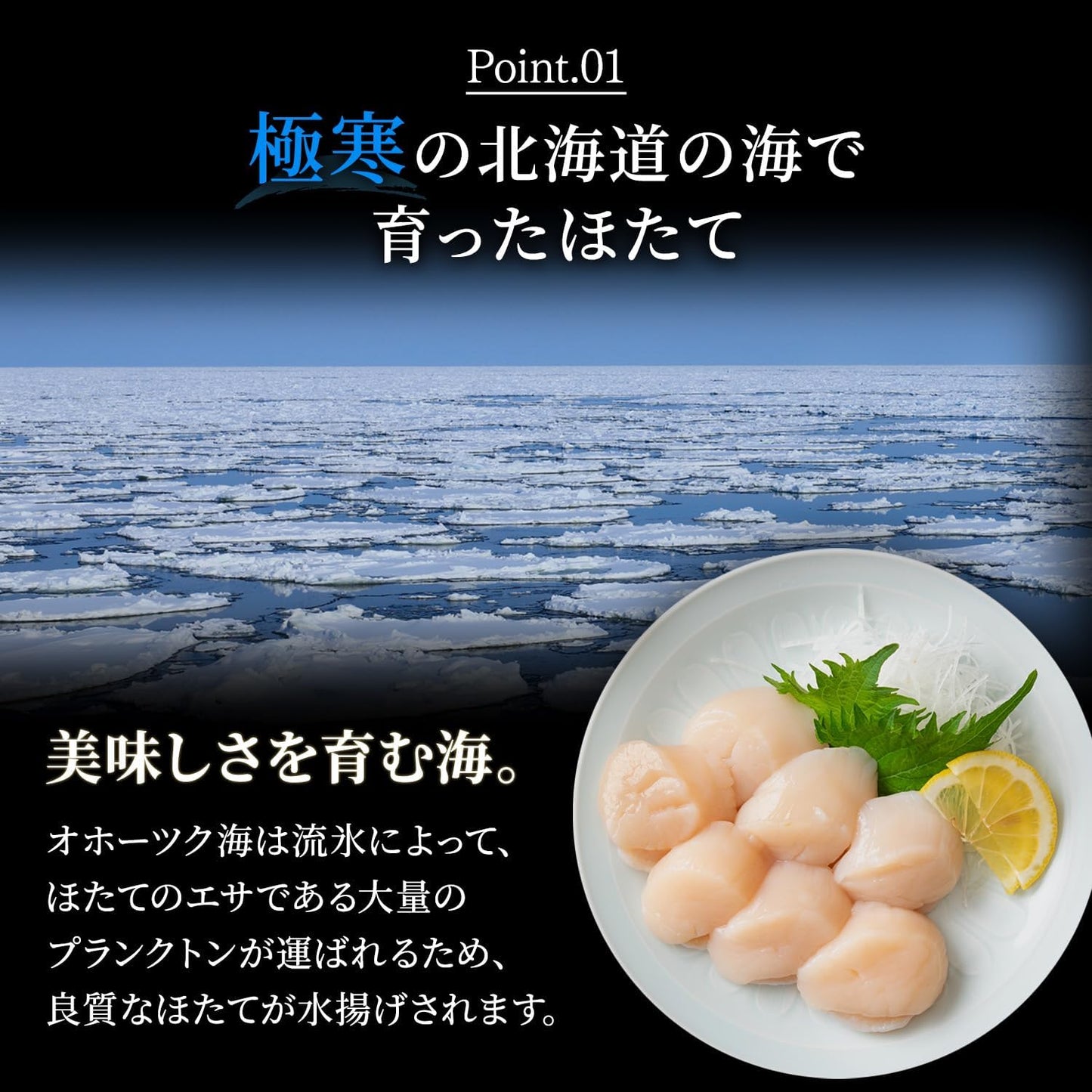 Hokkaido Karen Scallop Pillar 3S - 4S Generous 2.2 lbs (1 kg) (Approx. 41 - 60 seeds), For Sashimi, Frozen