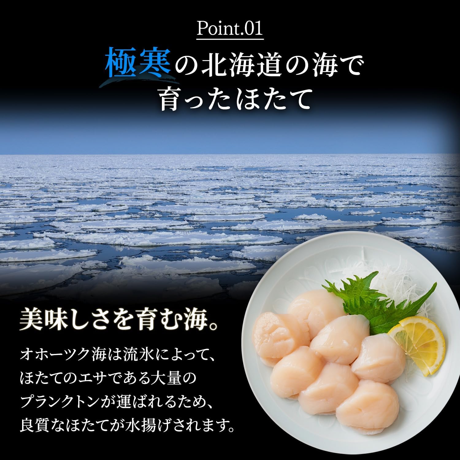 Hokkaido Karen Scallop Pillar 3S - 4S Generous 2.2 lbs (1 kg) (Approx. 41 - 60 seeds), For Sashimi, Frozen