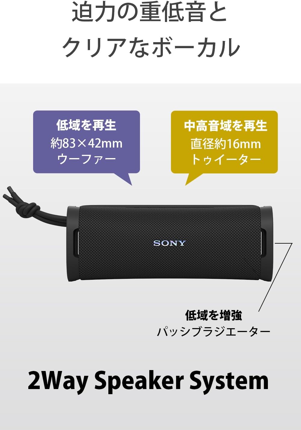 Sony Wireless Speaker SRS-ULT10 : Waterproof IP67/ ULT FIELD 1 / Powerful Bass / Long Battery 12 Hours / SRS-ULT10 BC Black