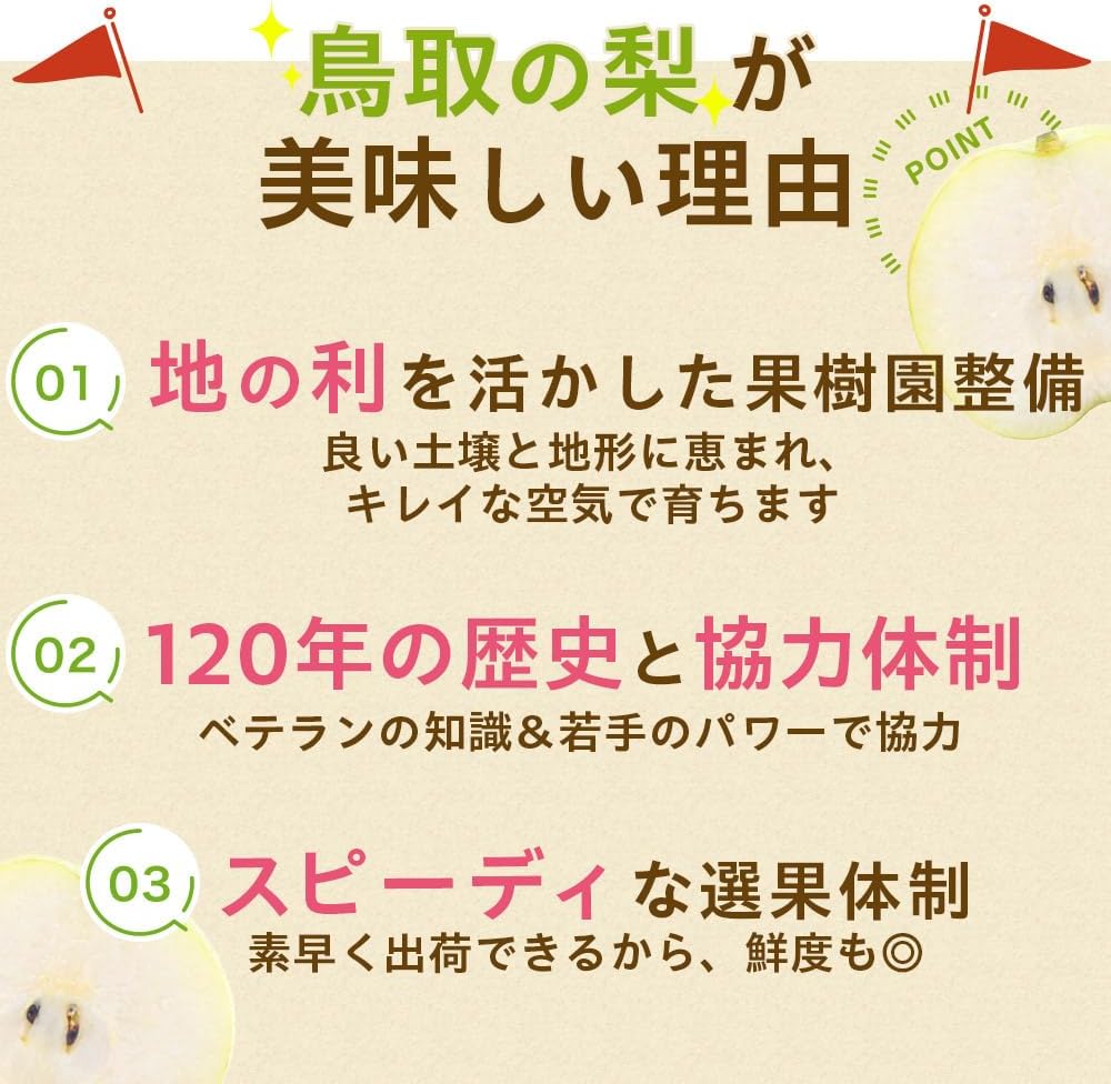 Shinkanzumi (Shinkansen Noodles), 11.0 lbs (5 kg) Filled (8 - 18 pcs), Produced in Tottori Prefecture, No Shinamizumi Rear, Red Shiu