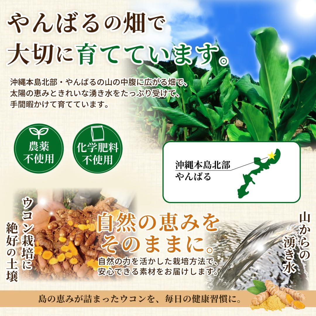 Shimanoya Ryuku Fermented Turmeric Supplement (Contains 3 Types of Turmeric
