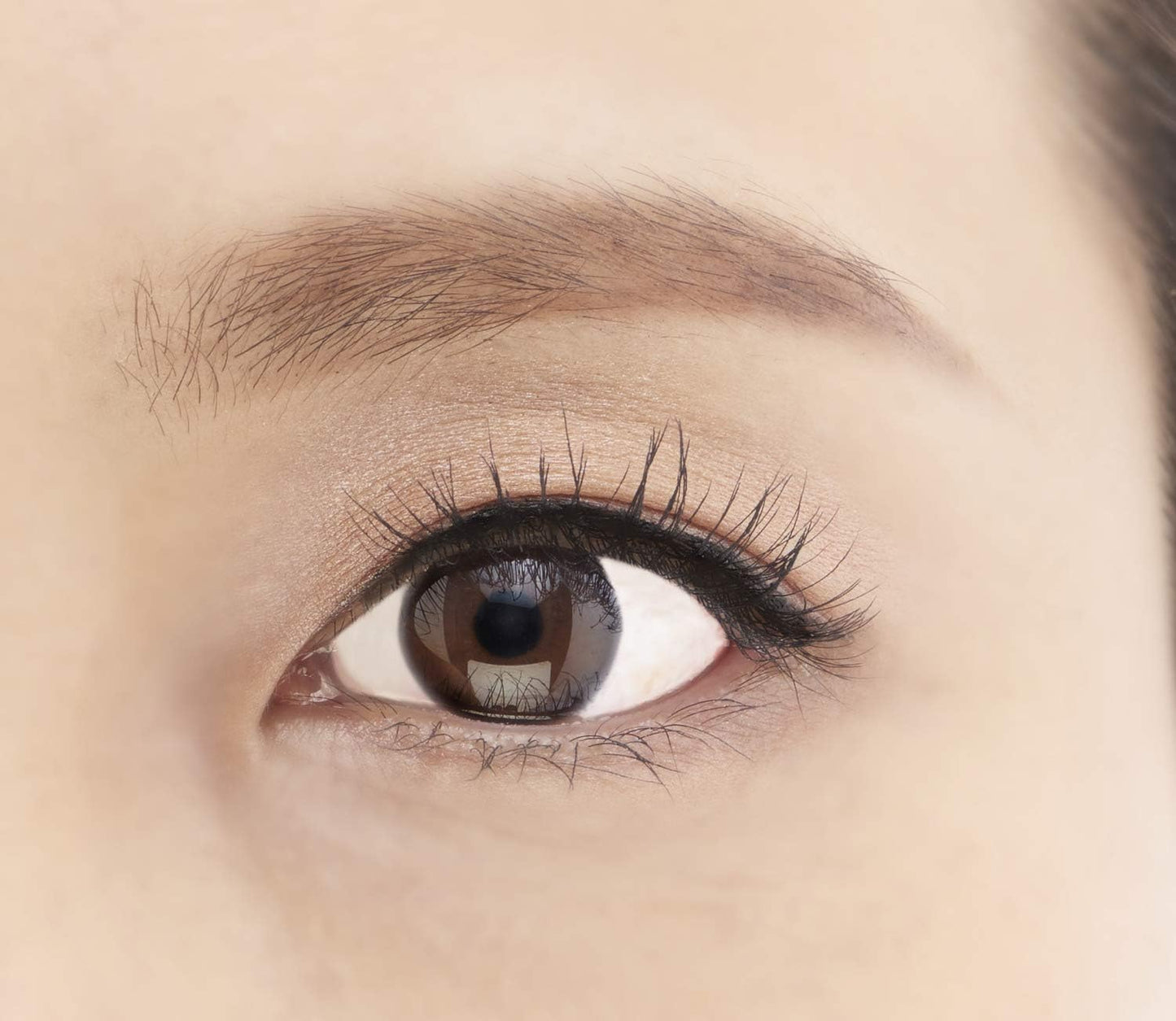 KISS NEW YORK Official Featherlight Rush 13 Feather Light Lashes Sweet KFL13J Set of 3