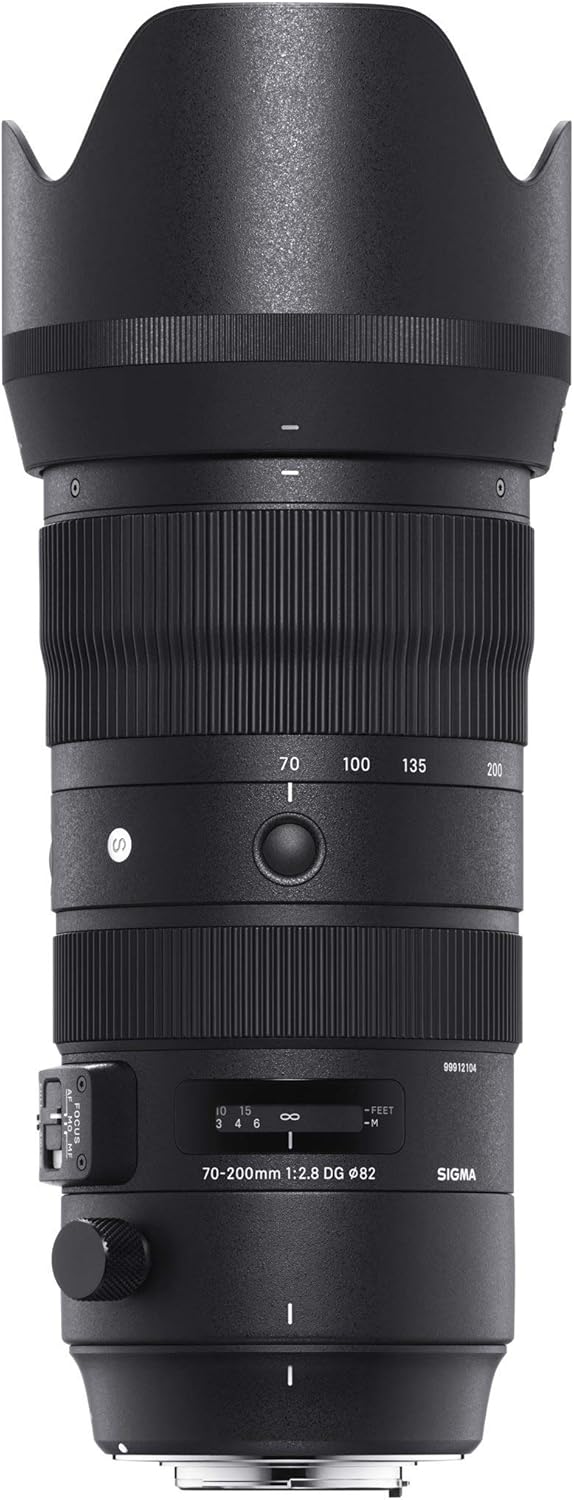 シグマ(Sigma) レンズ 70-200mm F2.8 DG OS HSM Nikon ニコン Fマウント ズーム 望遠 フルサイズ 一眼レフ用 Sports