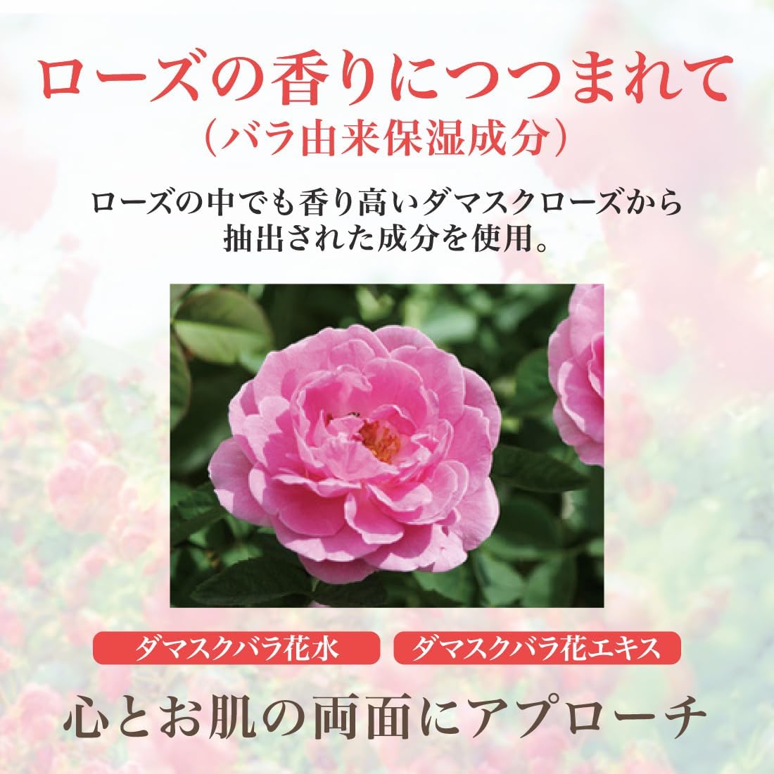 All-in-One Gel Moist Rich Gel 3.5 oz (100 g) (Lotion, Serum, Milky Lotion, Cream, Makeup Base, Time-saving, Revival Rose)