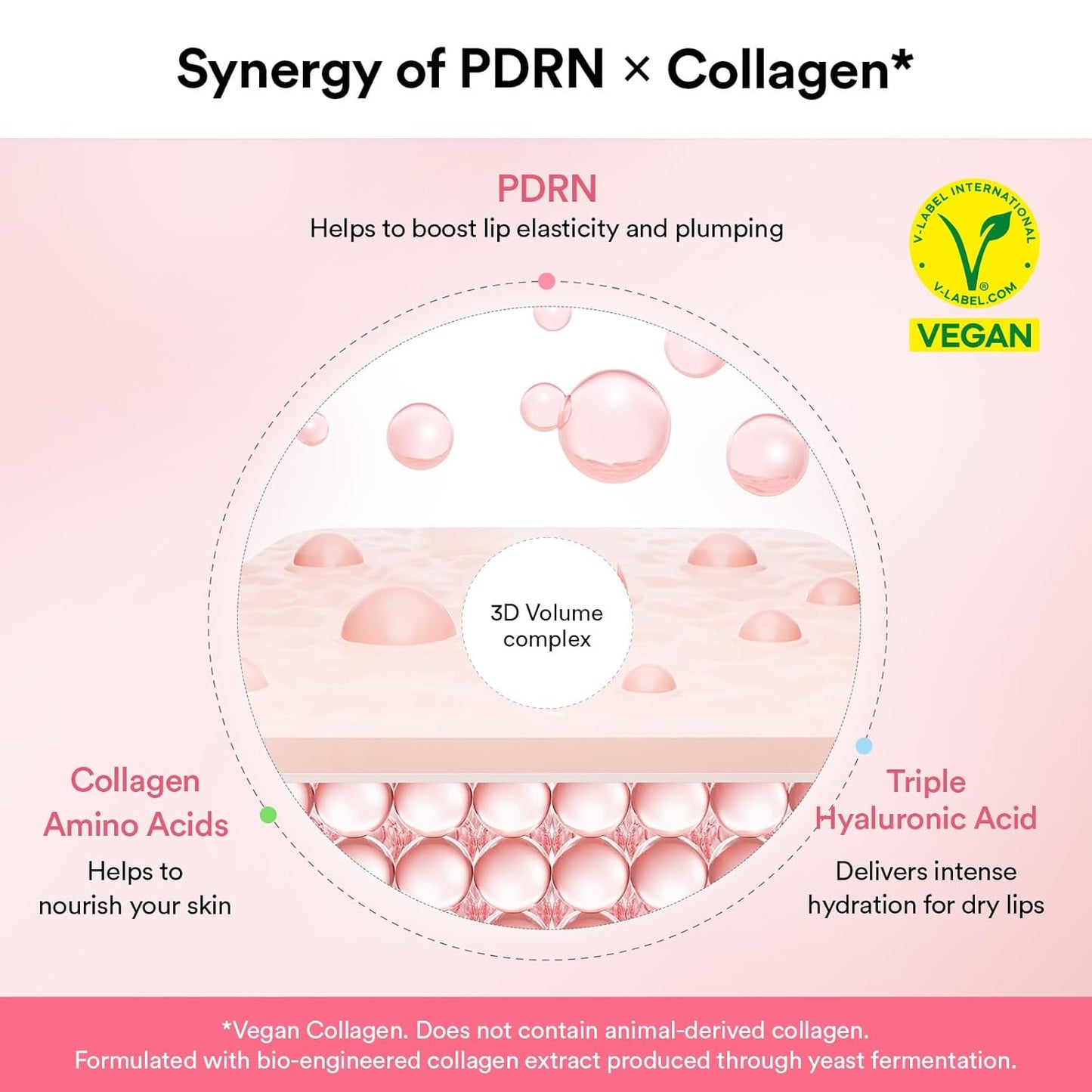 Abib PDRN Mascarilla de Labios de Colágeno en Gel Brillante 11.3 ml | Mantequilla Labial Coreana, Bálsamo de Cuidado Nocturno Hidratante, Tratamiento Hidratante para Labios Escamosos y Secos