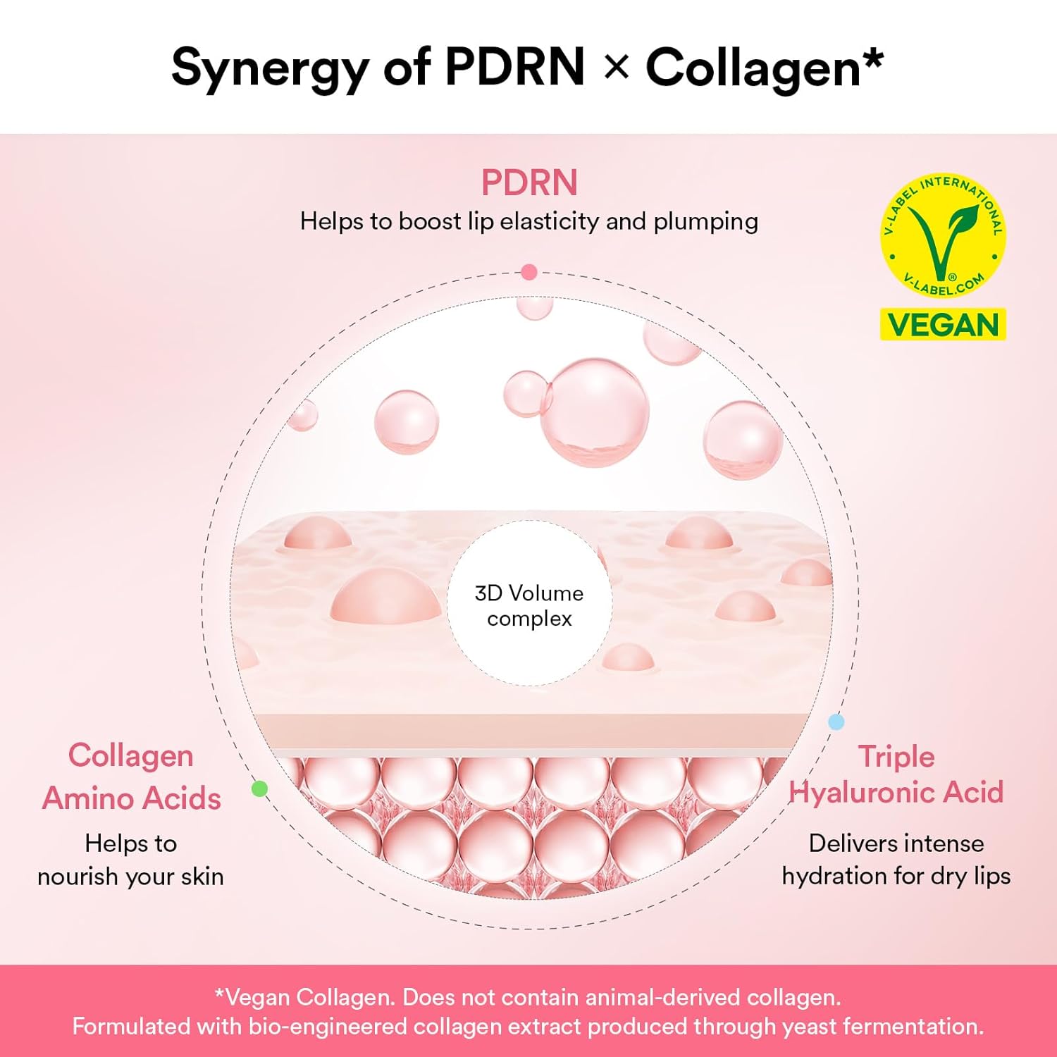Abib PDRN Mascarilla de Labios de Colágeno en Gel Brillante 11.3 ml | Mantequilla Labial Coreana, Bálsamo de Cuidado Nocturno Hidratante, Tratamiento Hidratante para Labios Escamosos y Secos