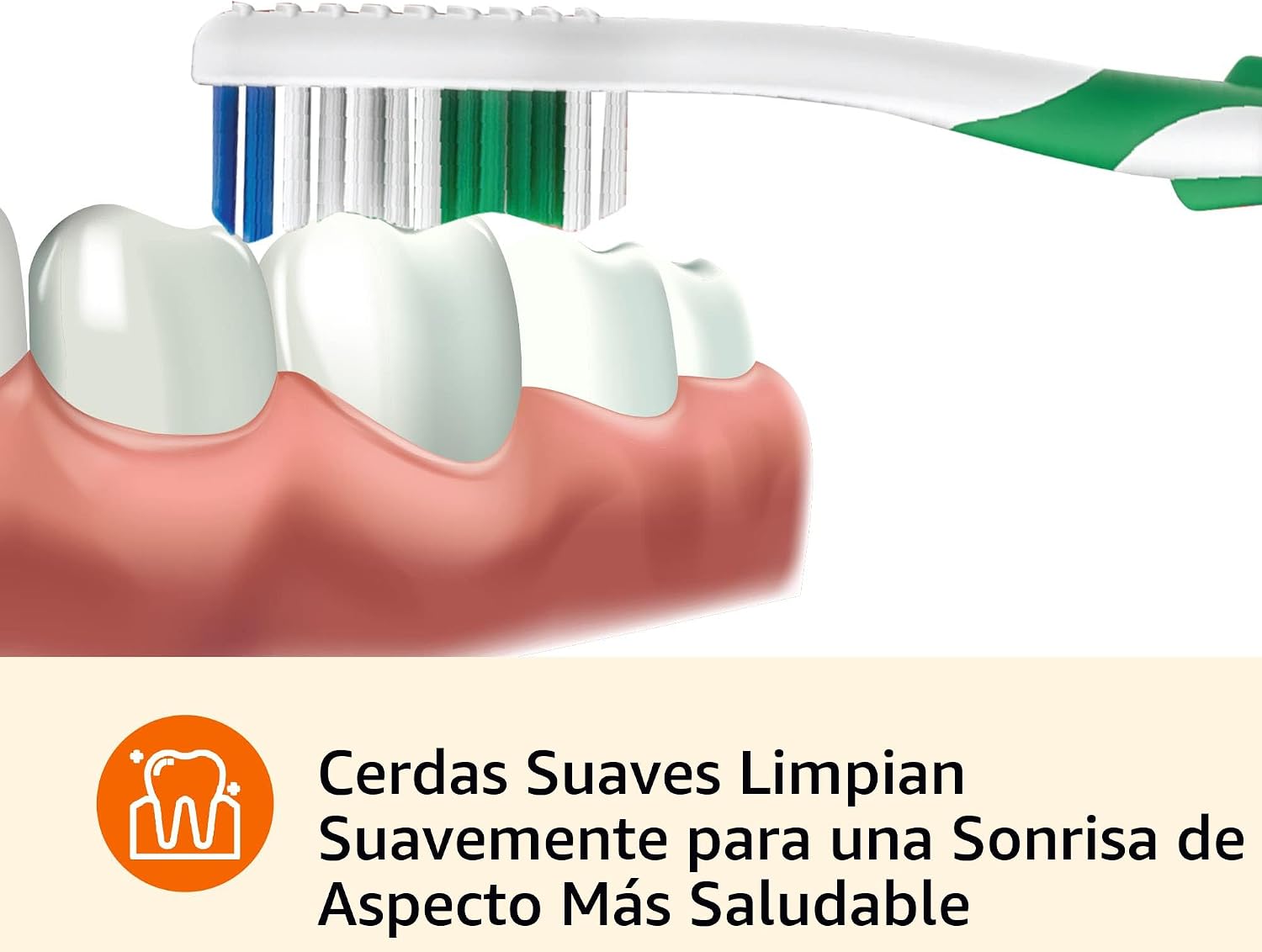 Basics Cepillos de dientes Clean Plus, suaves, completos, 10 unidades, 1 paquete (anteriormente Solimo)