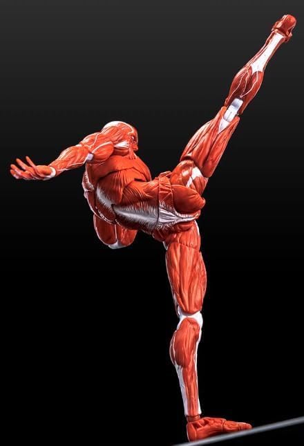 LEBOO 1/12 Toyocho Keeping Male Action Body Muscle Body for Movable Action Figures, Red