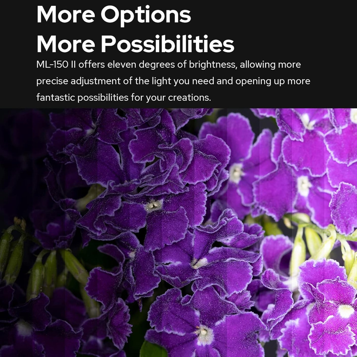 Godox ML-150II Macro LED Ring Flash Speedlite Macro LED Ring Flash Speedlite Macro LED Ring Flash Speedlite Compatible with Sony Canon Nikon Fuji Olympus Panasonic DSLR Camera