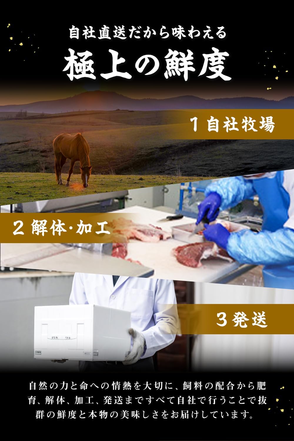 Wagyu Horse Meat Sashimi 280g, Kumamoto-Produced Domestic Horse Meat, Red Meat Assortment, Large Capacity, Trial Size, Kumamoto, Kyushu, Cherry Blossom, Taste Comparison, Horse Meat, Appetizer