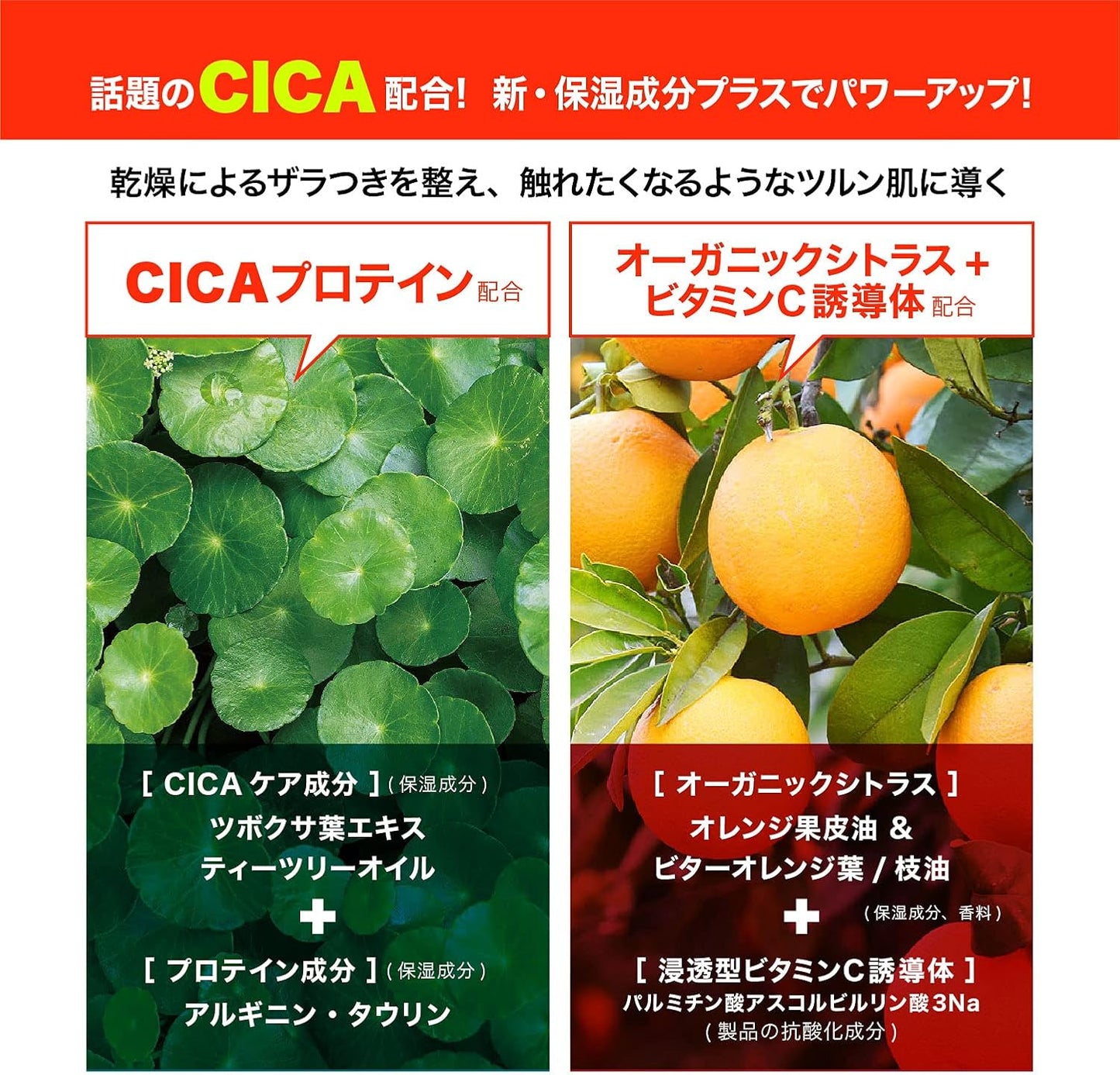 Citrus Oji Facial Clear Whip SP Refills, Set of 2, 10.1 fl oz (300 ml) Each