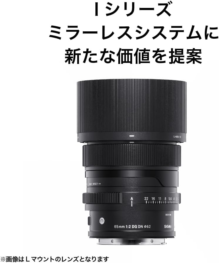 Sigma Sony E-Mount Lens 65mm F2 DG DN Single Focus Telephoto Full Size Contemporary Mirrorless