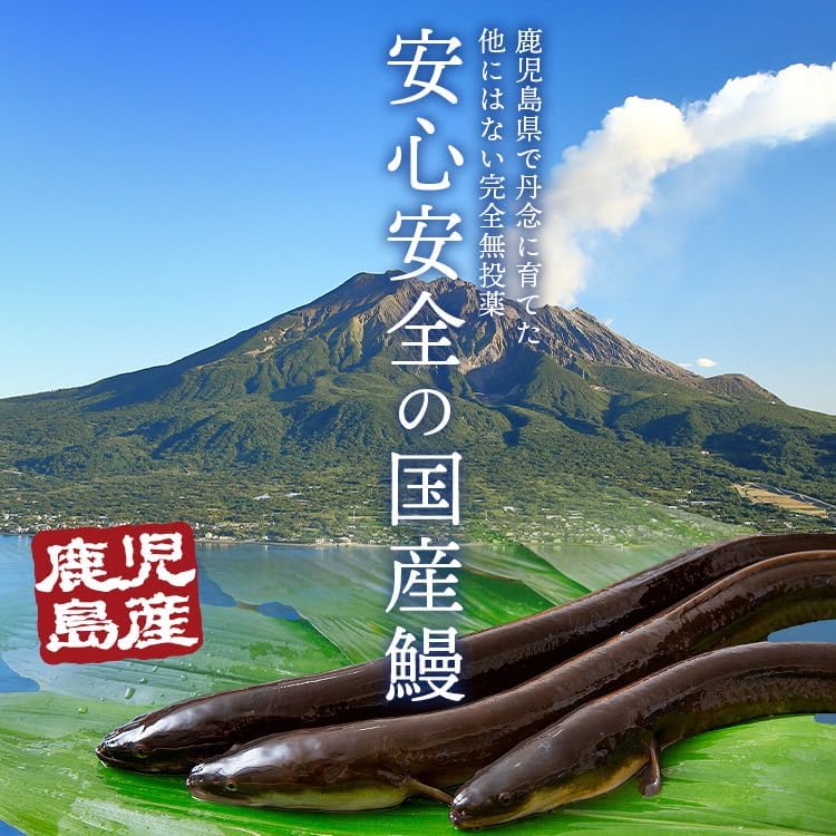 Eel Set, Made in Japan, Respect for the Aged Day, Eel Grill, 5.3 oz (150 g) x 2, Gift Box, Yamada Suisan Eel, Made in Kagoshima