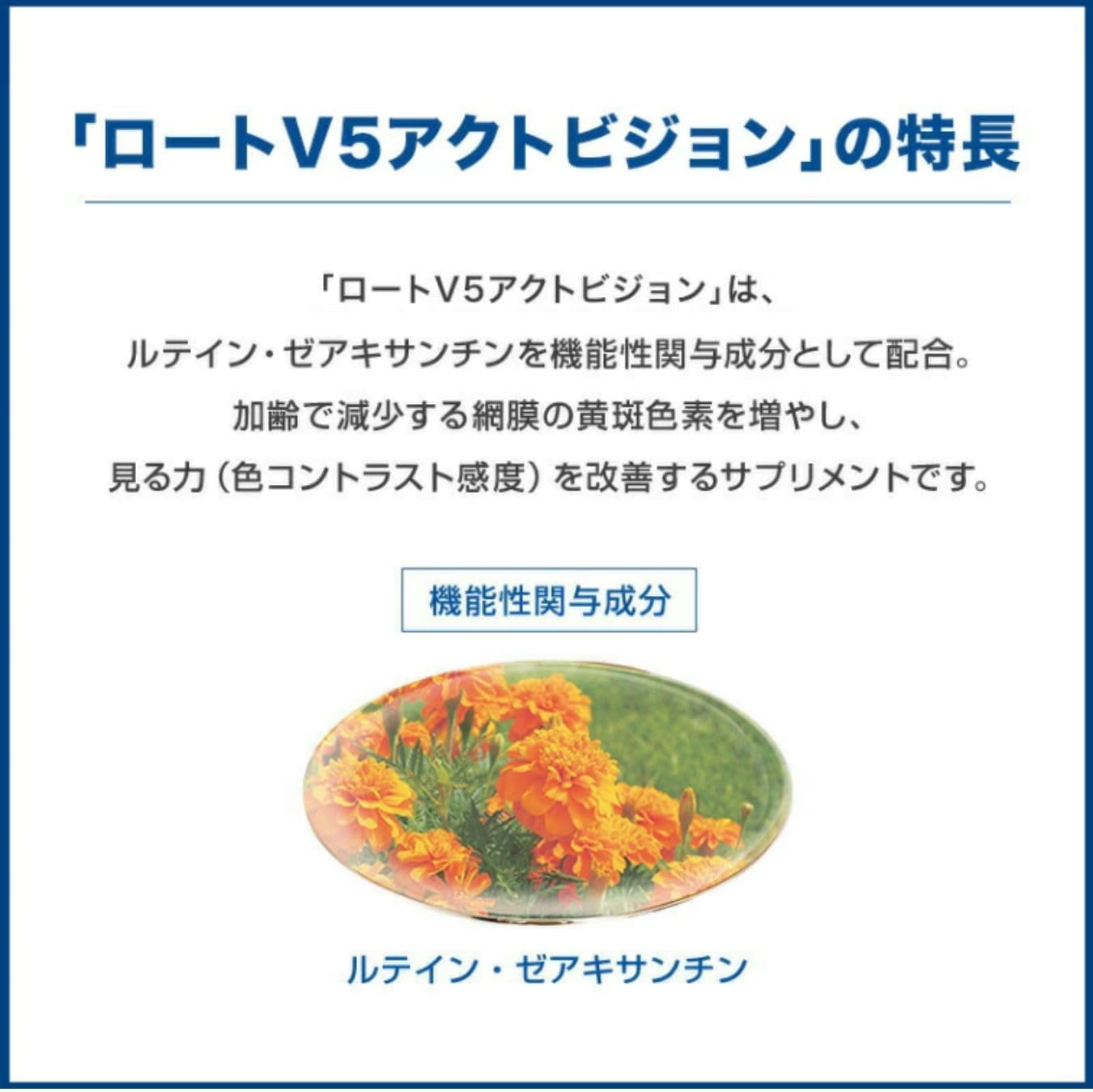Rohto V5 【Official】Rohto V5 Act Vision Large Capacity 62 Pills (2 Months Supply) Lutein Zeaxanthin Functionally Labeled Food (Vision, Visual Field, Blurred Vision, Blue Light)