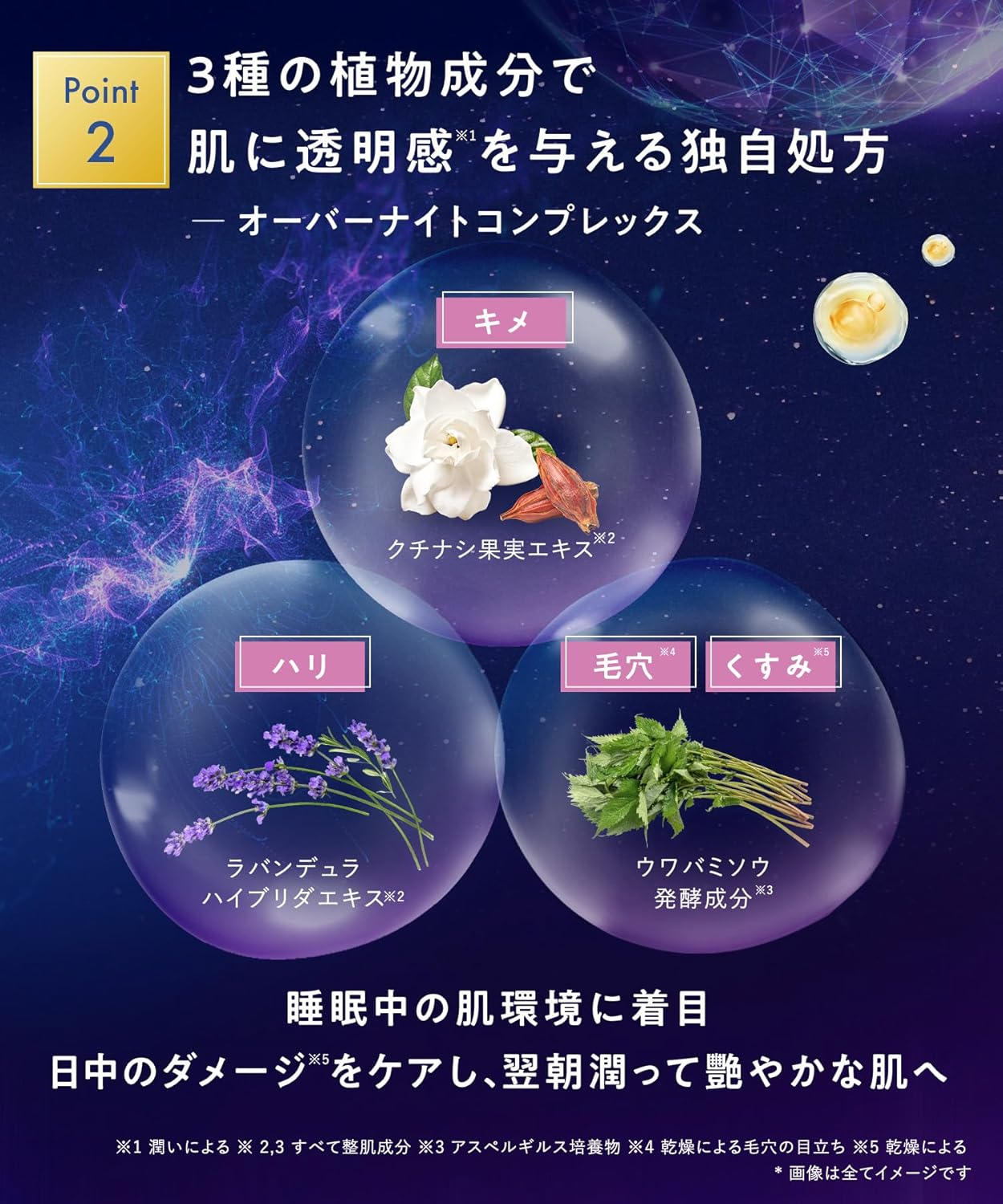 YOLU Yol Skin Overnight Cream Moist