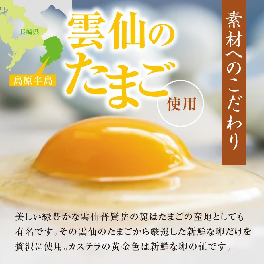 Settella Winter Gift Nagasaki Castella 10.6 oz (300 g) 1 piece Gift Year-end Gift Inner Celebration Offering Buddhist Service Condolence Return Gift